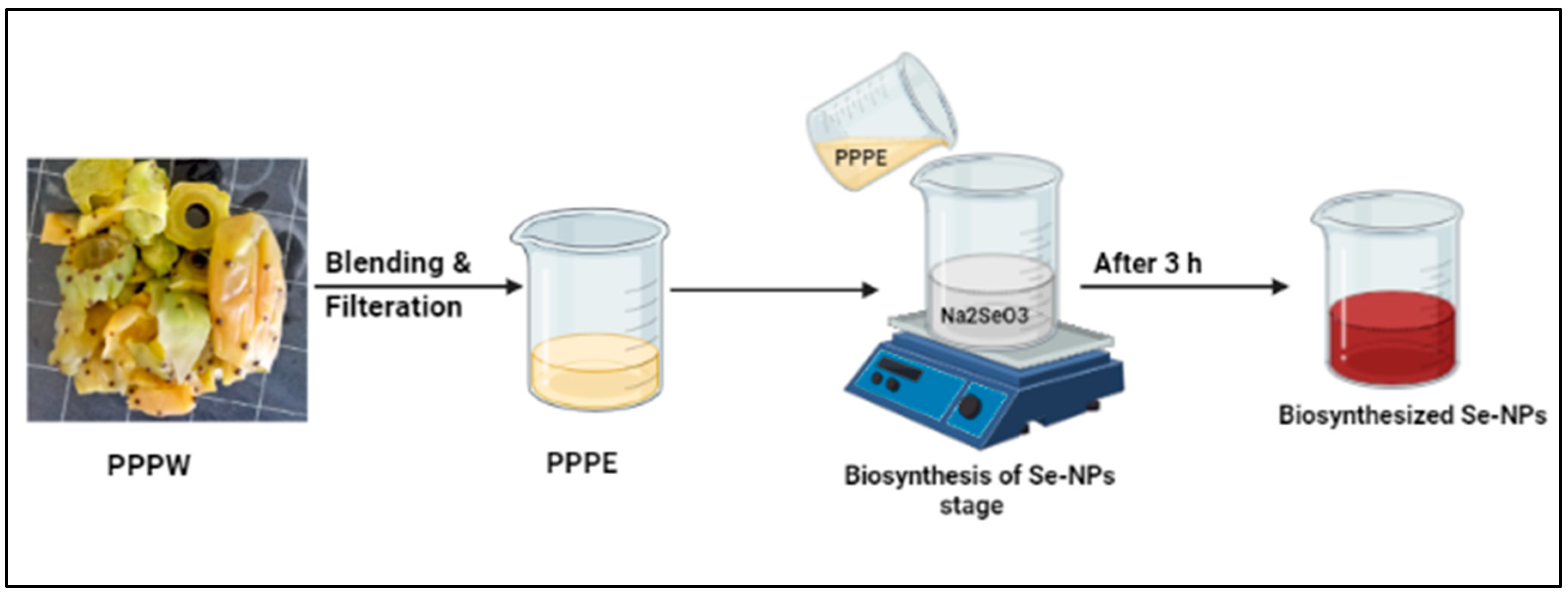 Pppe 104