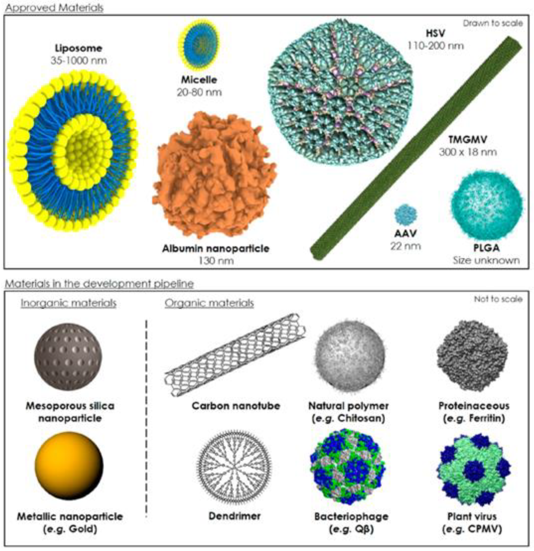 Jfb 13 00116 g001 Jfb 13 00116 g001
