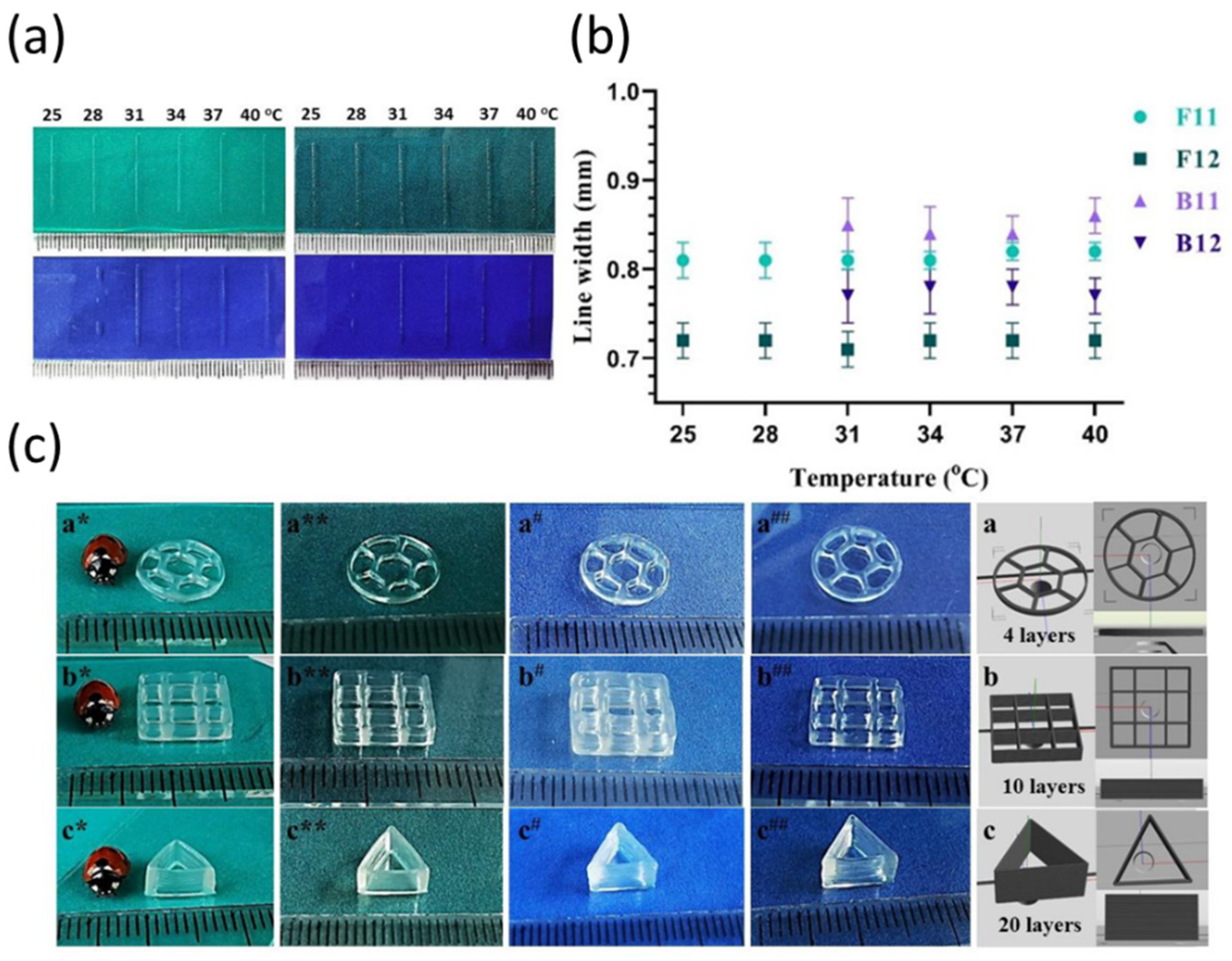 Jfb 13 00118 g005 550