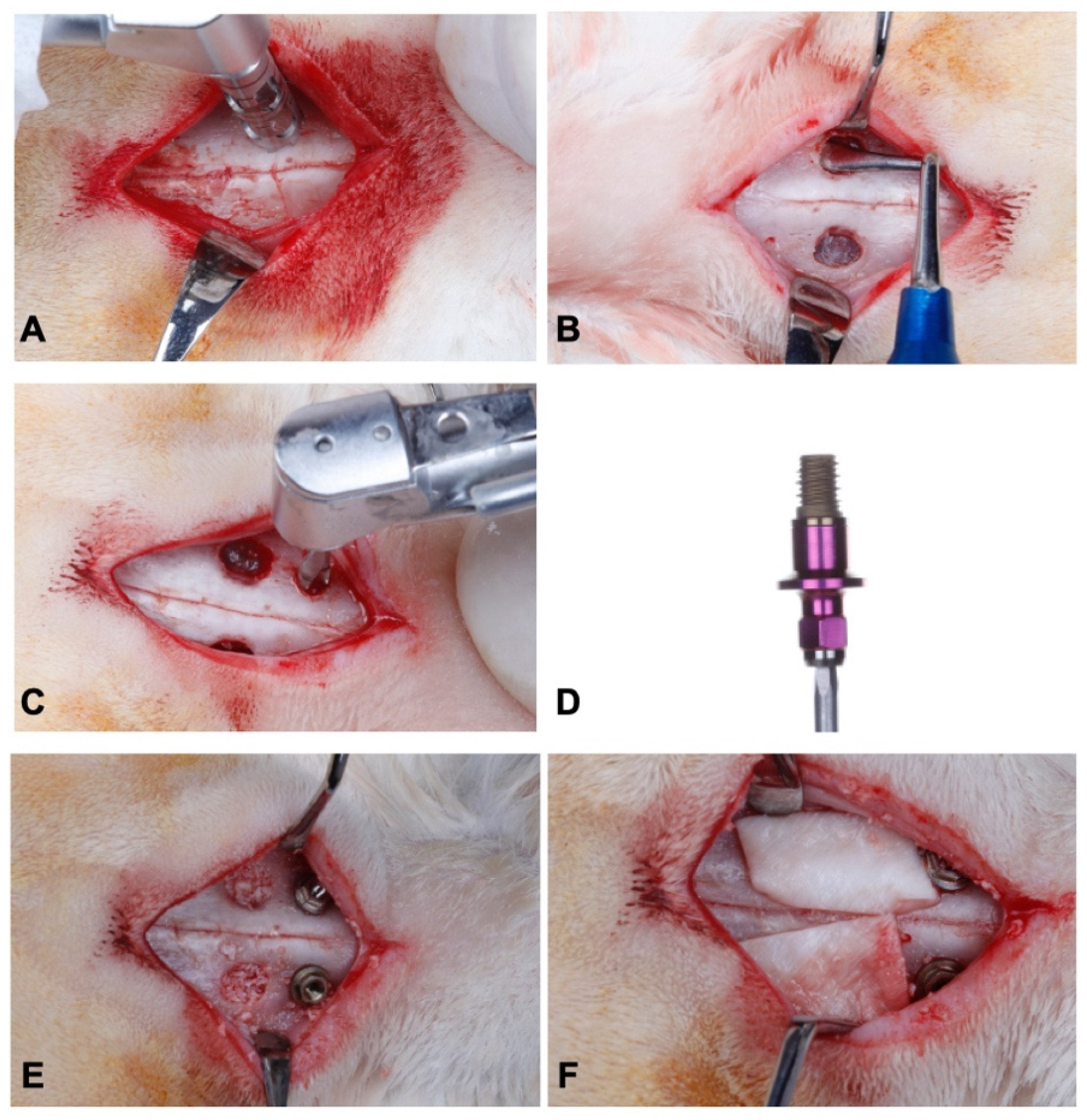 Jfb 13 00122 g001 550