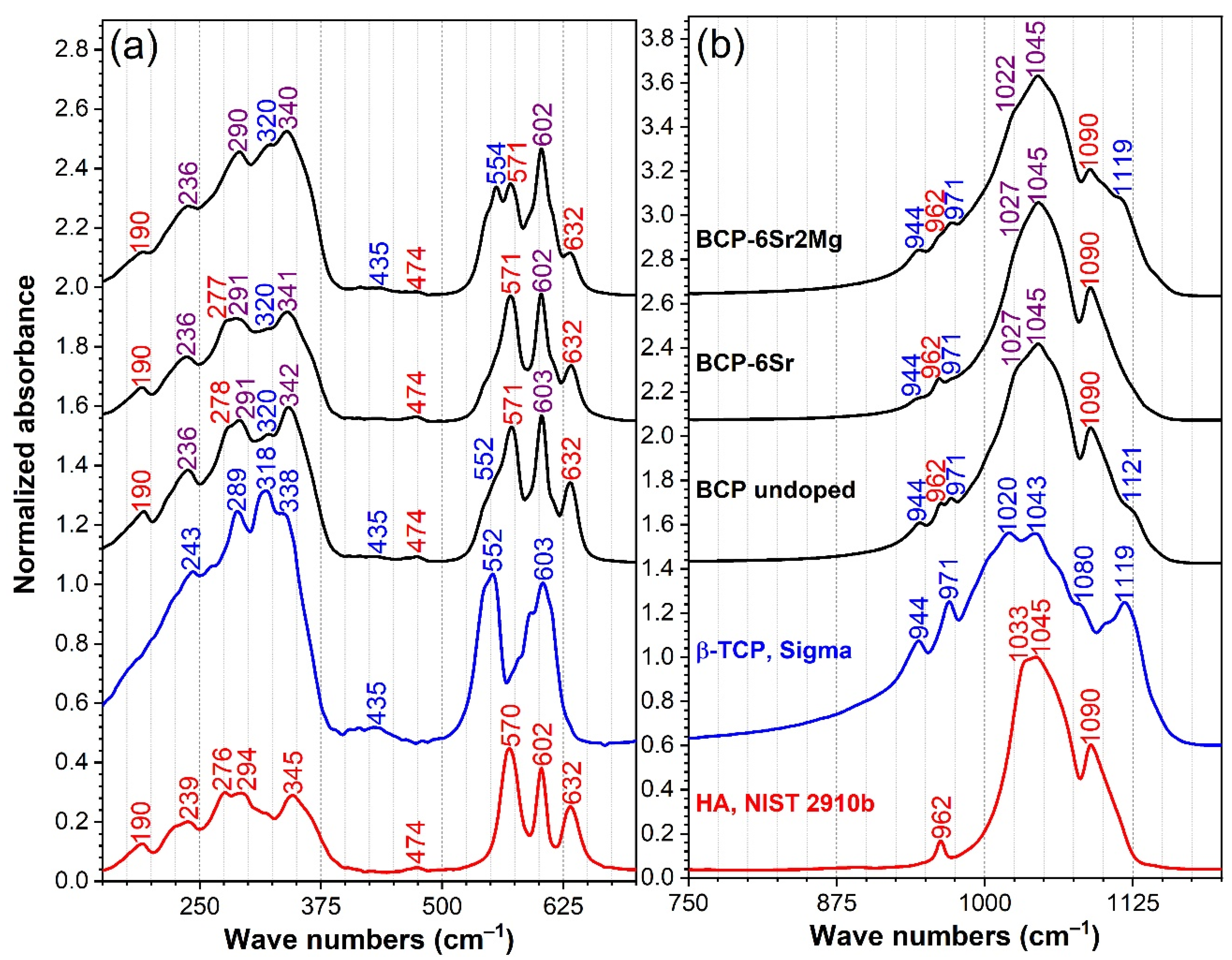 Jfb 13 00123 g003 Jfb 13 00123 g003