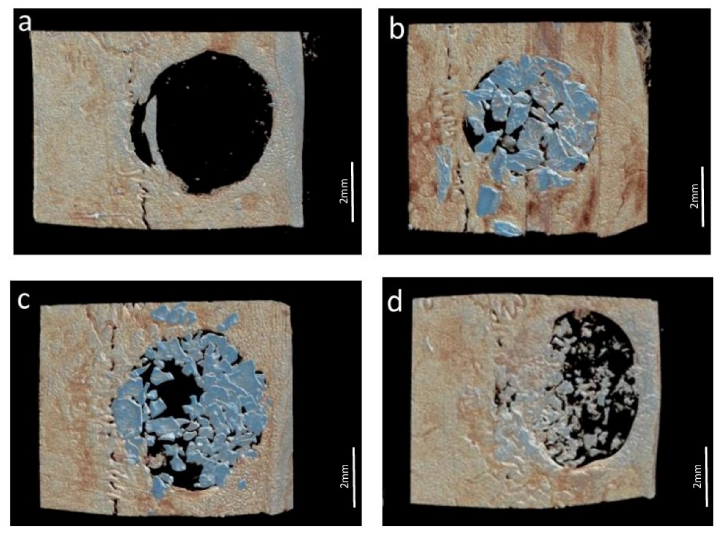 Jfb 13 00124 g002 550