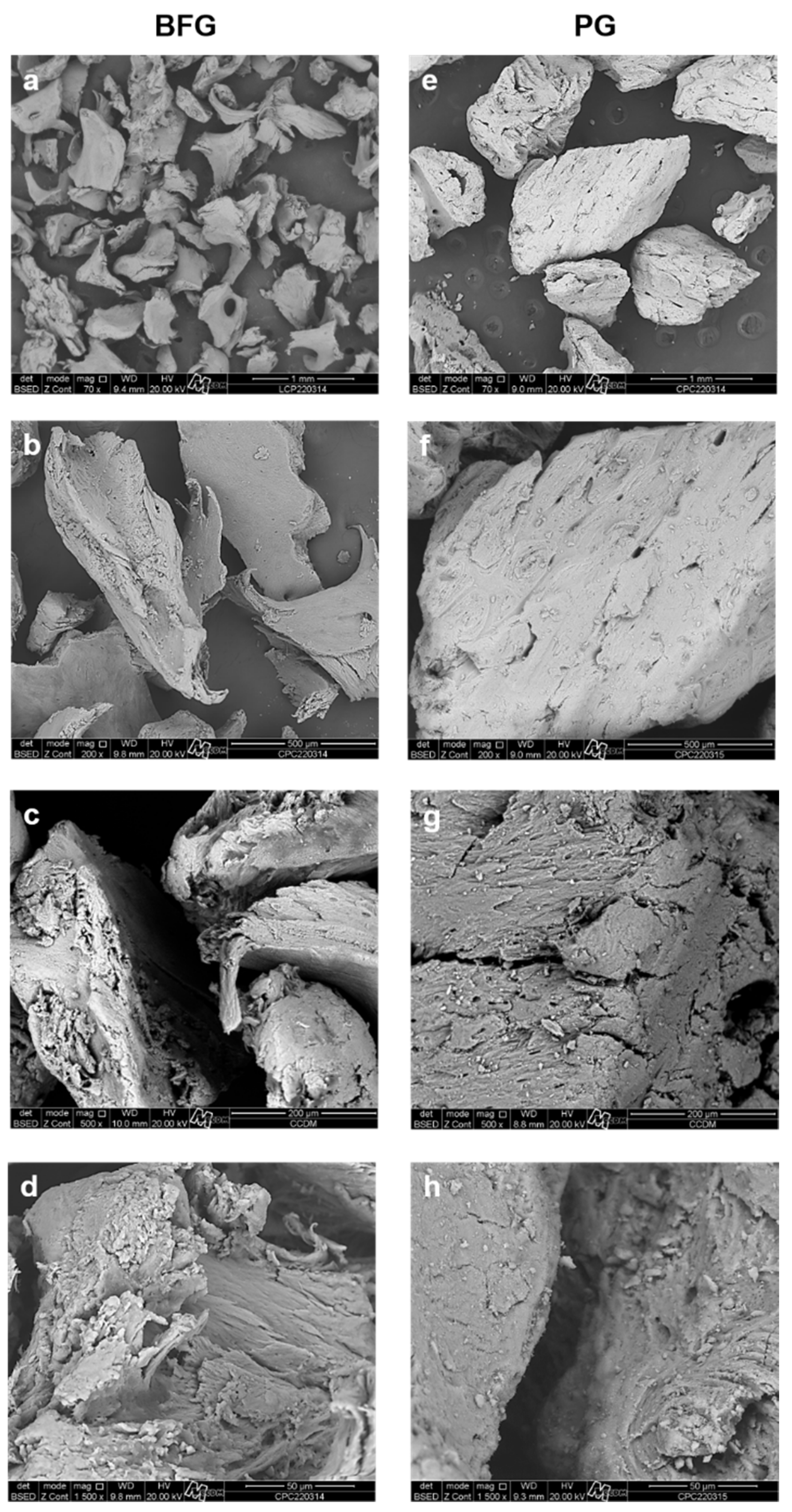 Jfb 13 00124 g004 550