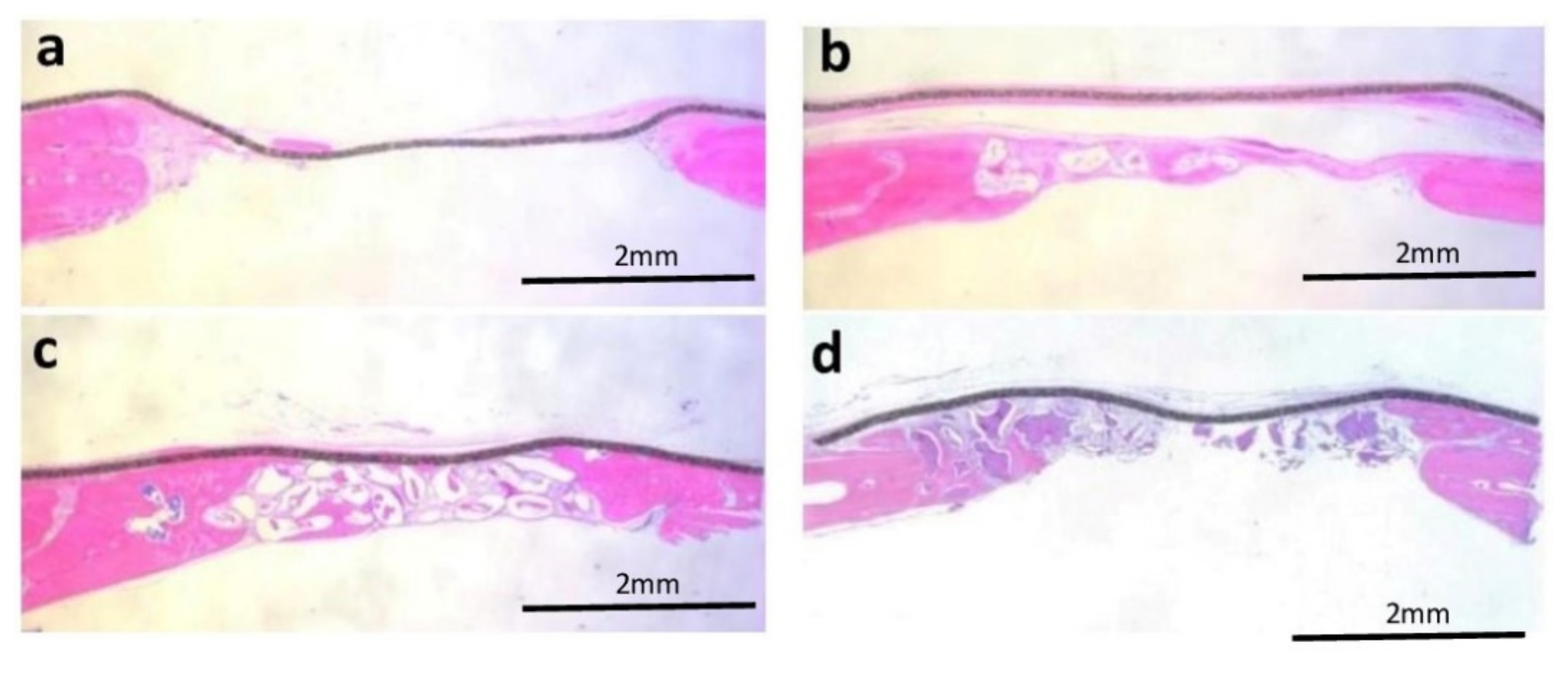 Jfb 13 00124 g006 550