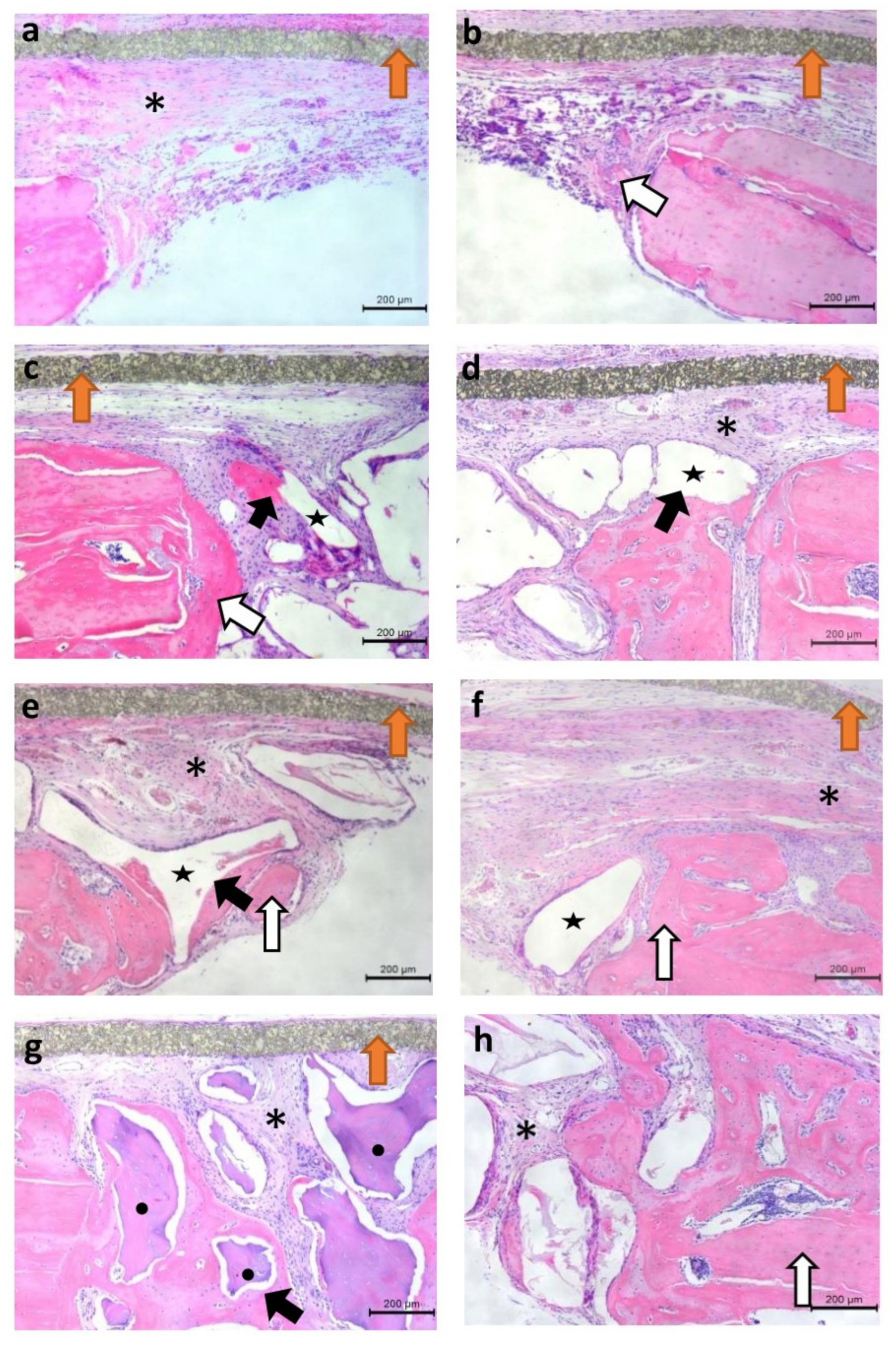 Jfb 13 00124 g007 550