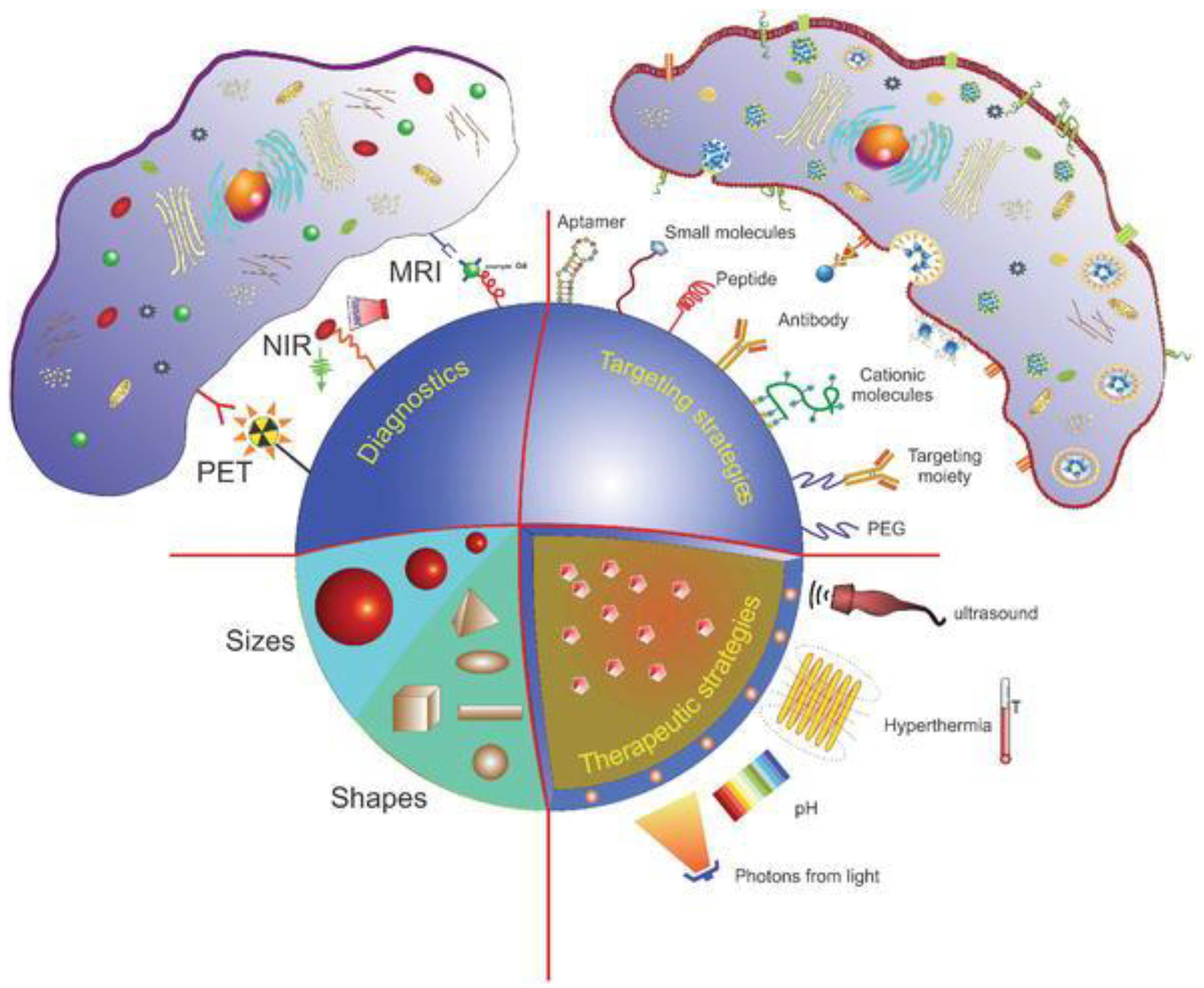 The Role of Optical Imaging in Translational Nanomedicine