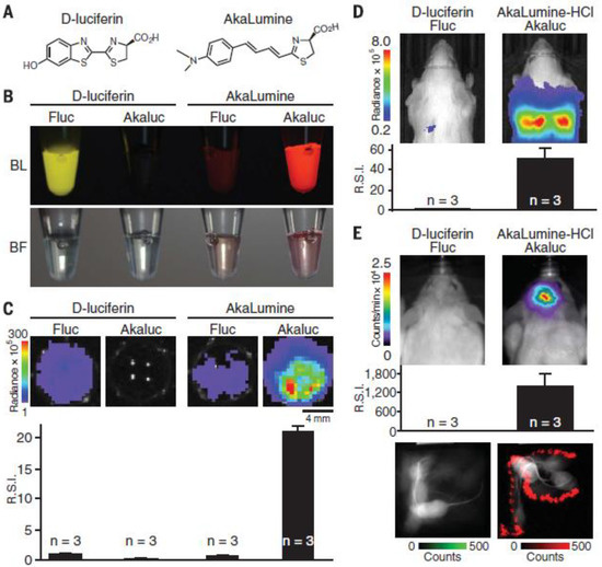 One-Step Construction of Co2P Nanoparticles Encapsulated into N-Doped  Porous Carbon Sheets for Efficient Oxygen Evolution Reaction