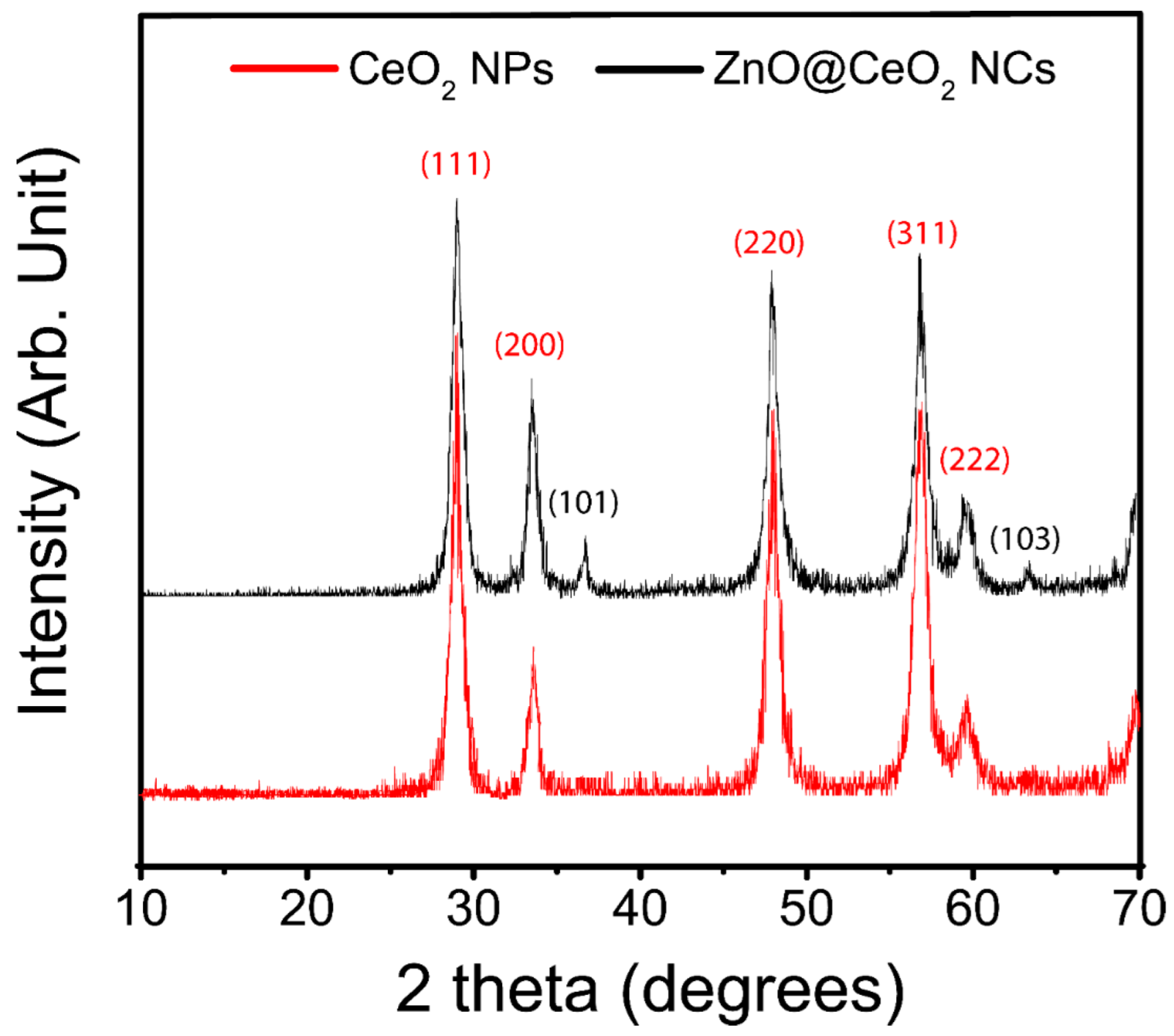 Jfb 13 00139 g003 550