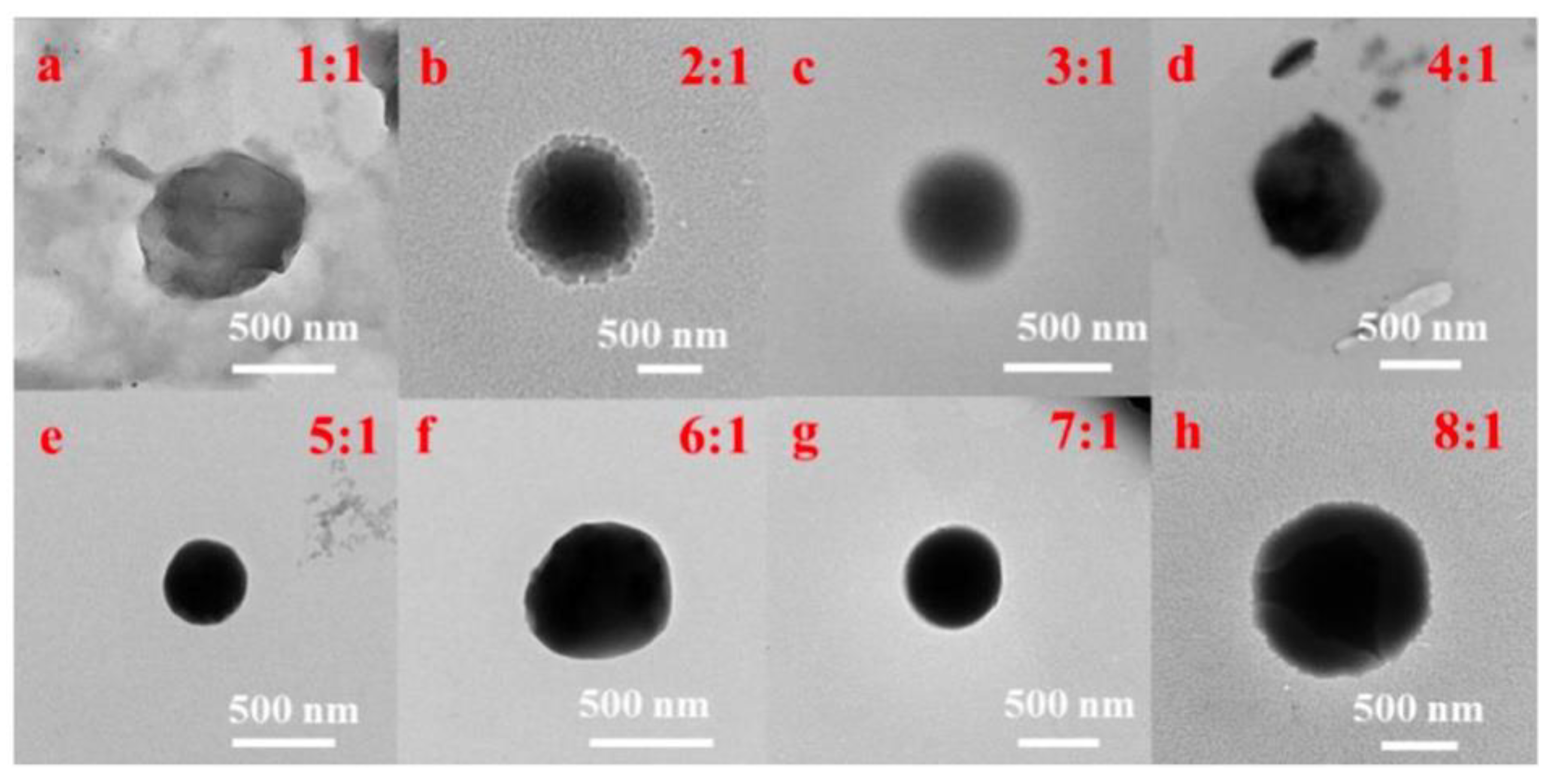 Jfb 13 00141 g002 550