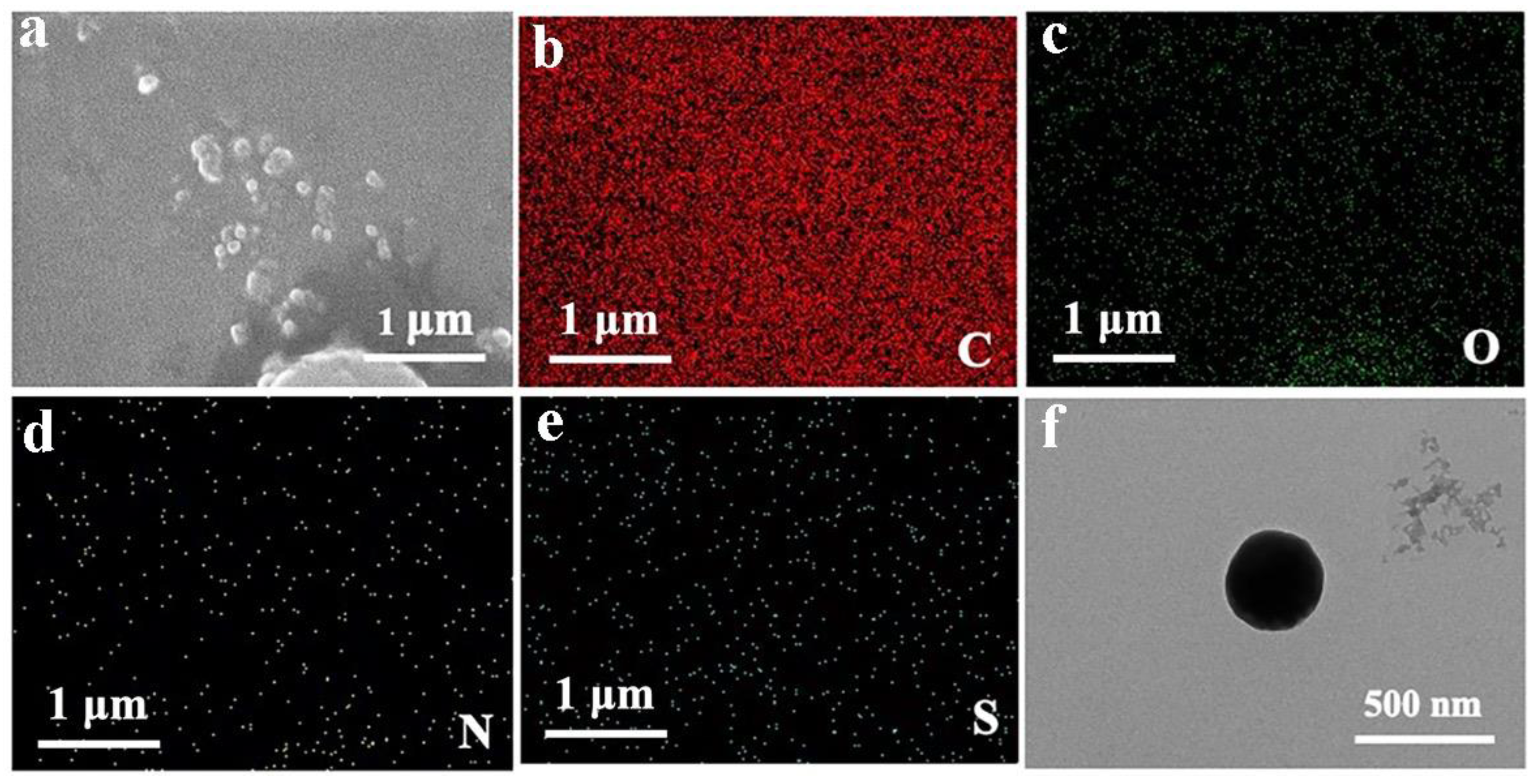 Jfb 13 00141 g004 550