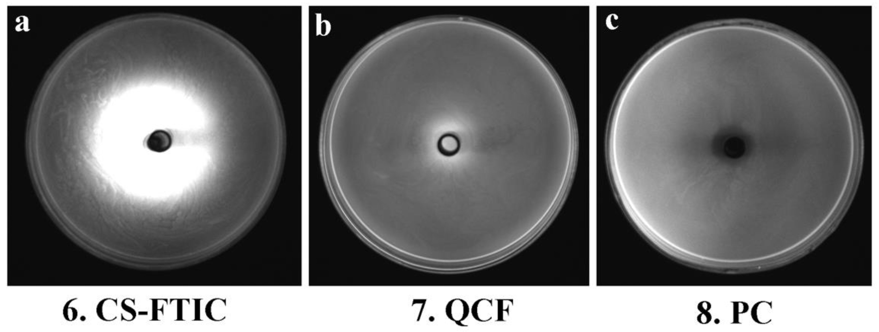Jfb 13 00141 g008 550