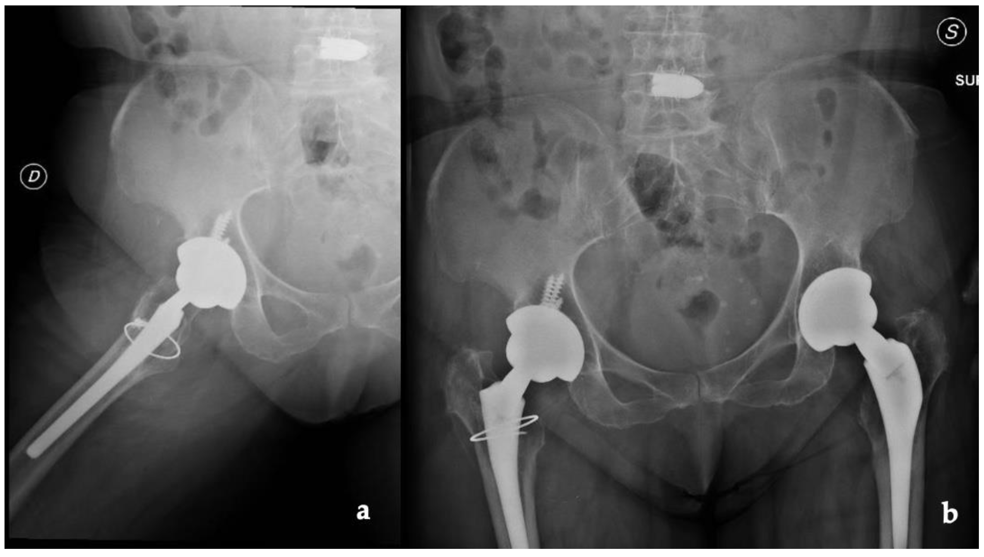 Jfb 13 00145 g001 Jfb 13 00145 g001