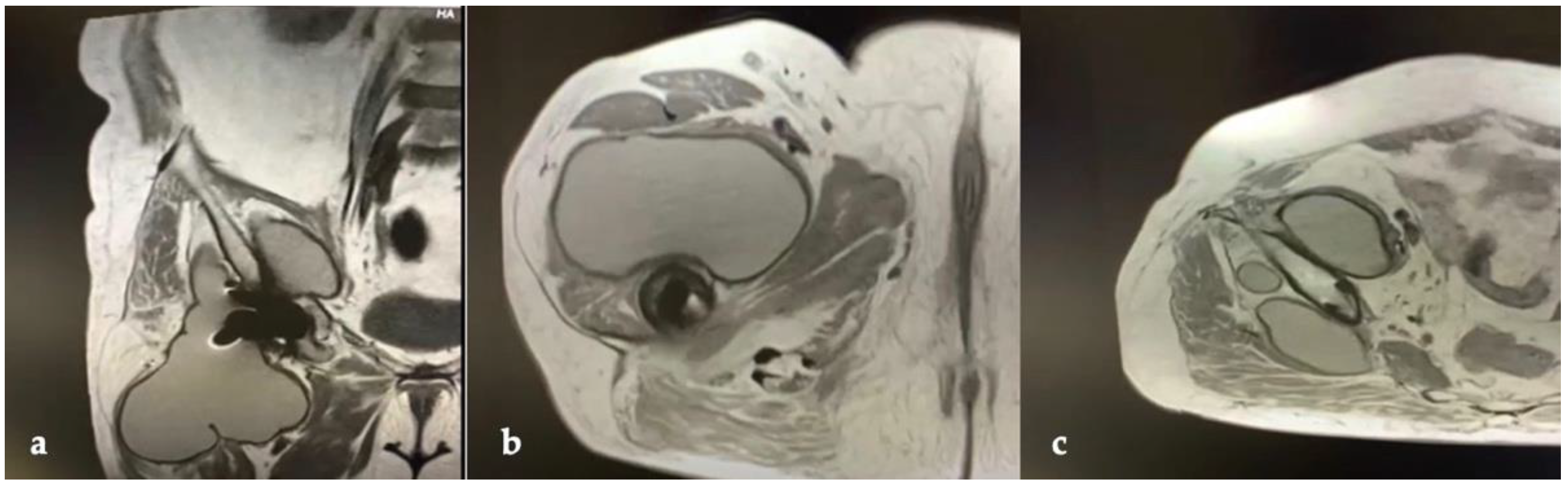 Jfb 13 00145 g003 Jfb 13 00145 g003