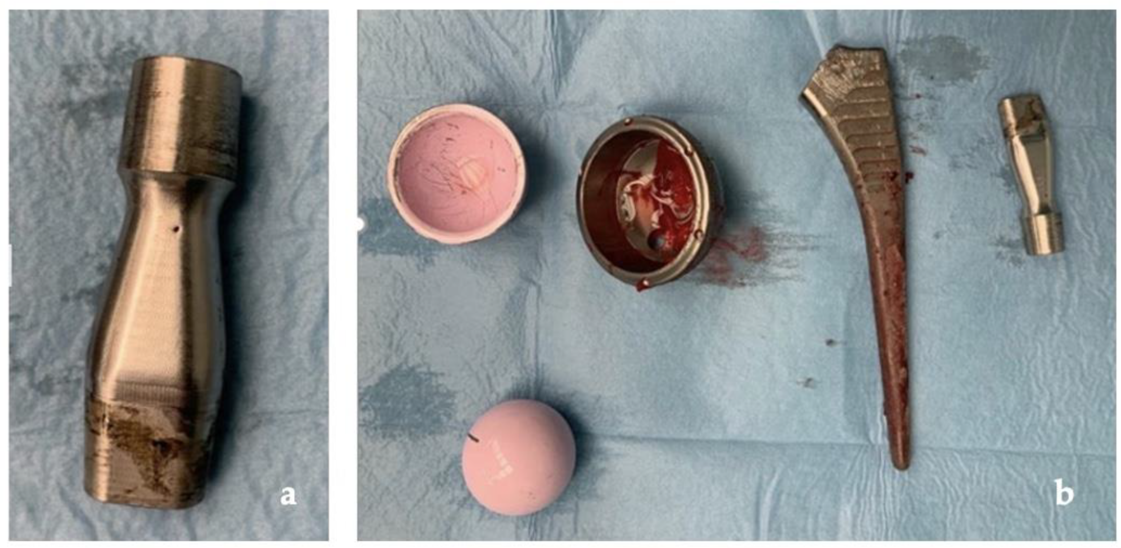 Jfb 13 00145 g008 Jfb 13 00145 g008