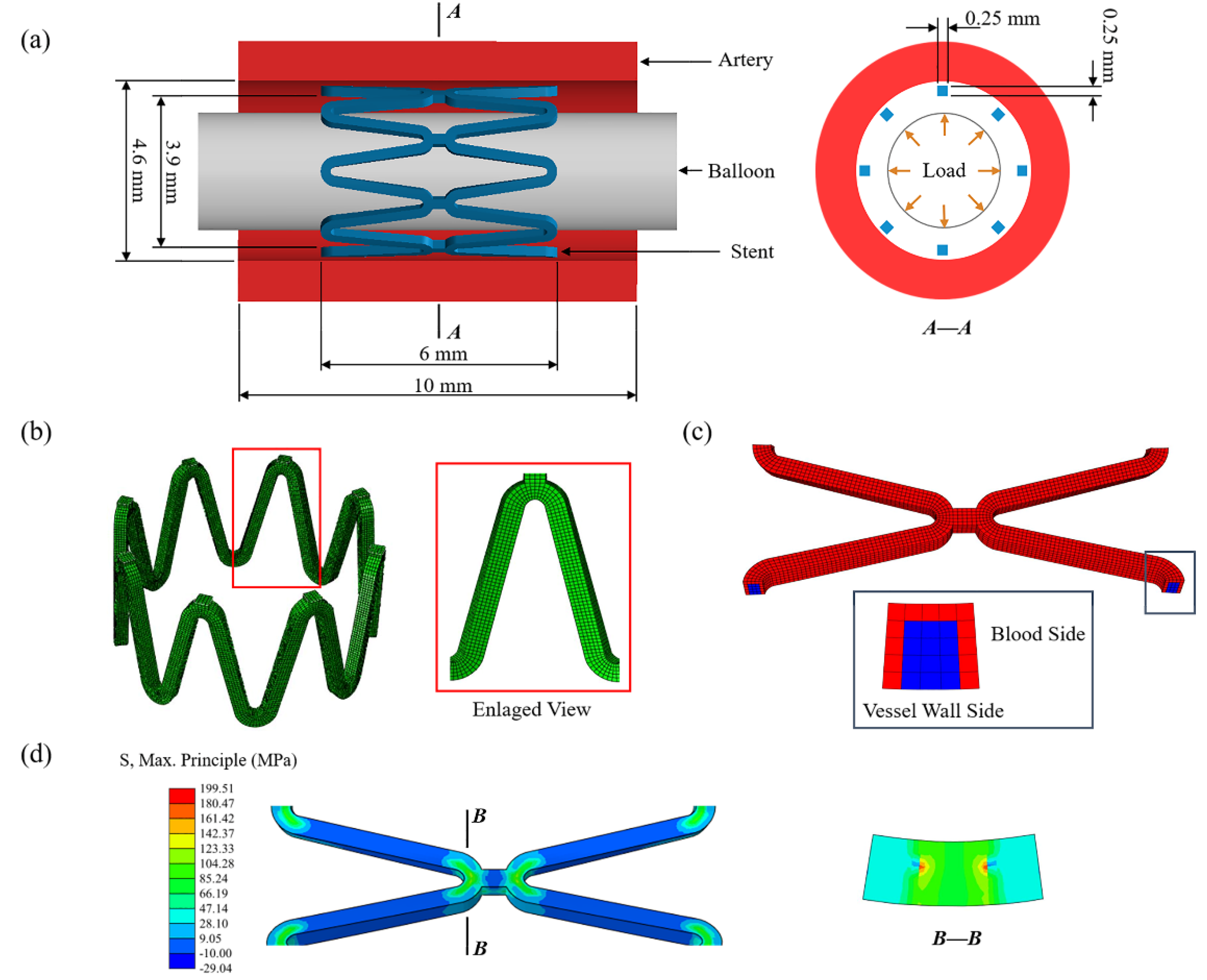 Jfb 13 00152 g002 550