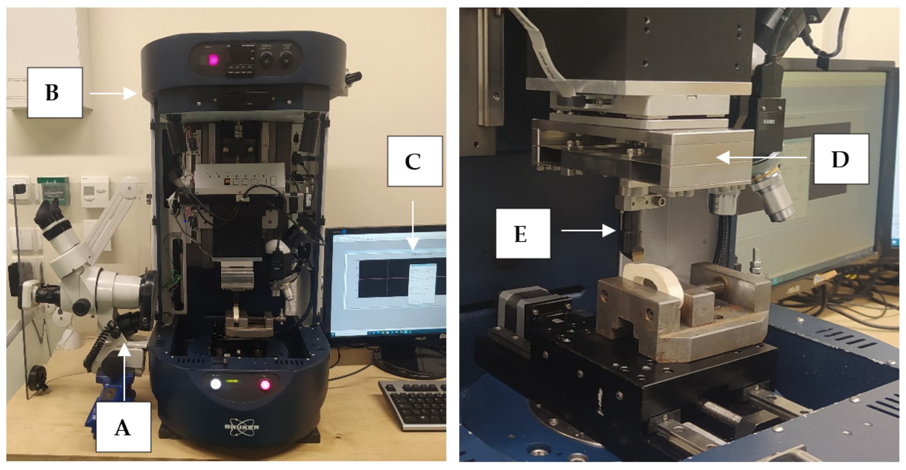 Jfb 13 00154 g003 550