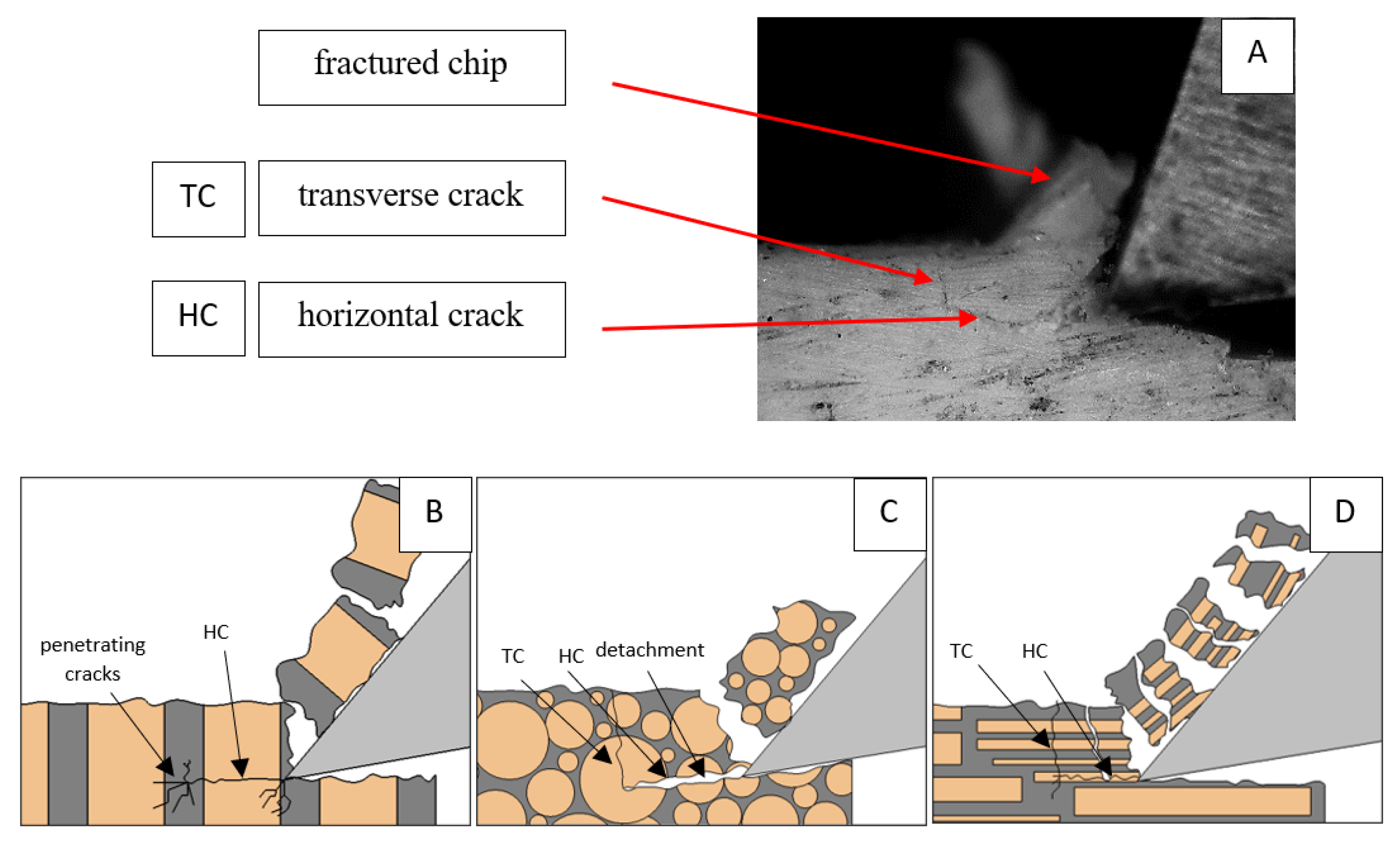 Jfb 13 00154 g006 550