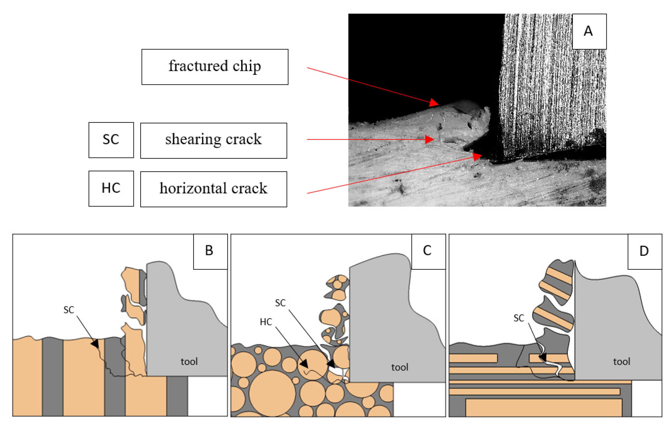 Jfb 13 00154 g008 550