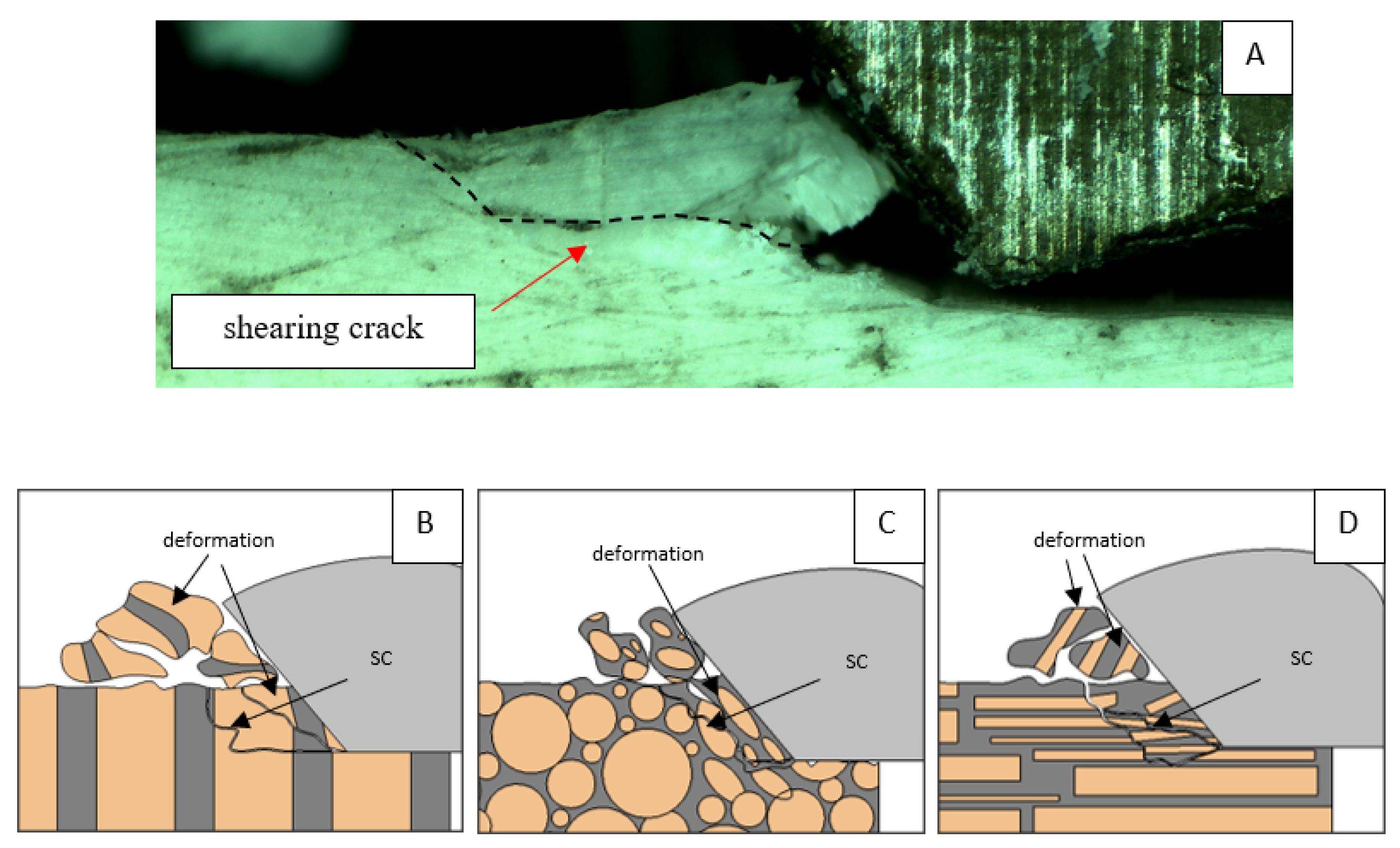 Jfb 13 00154 g010 550