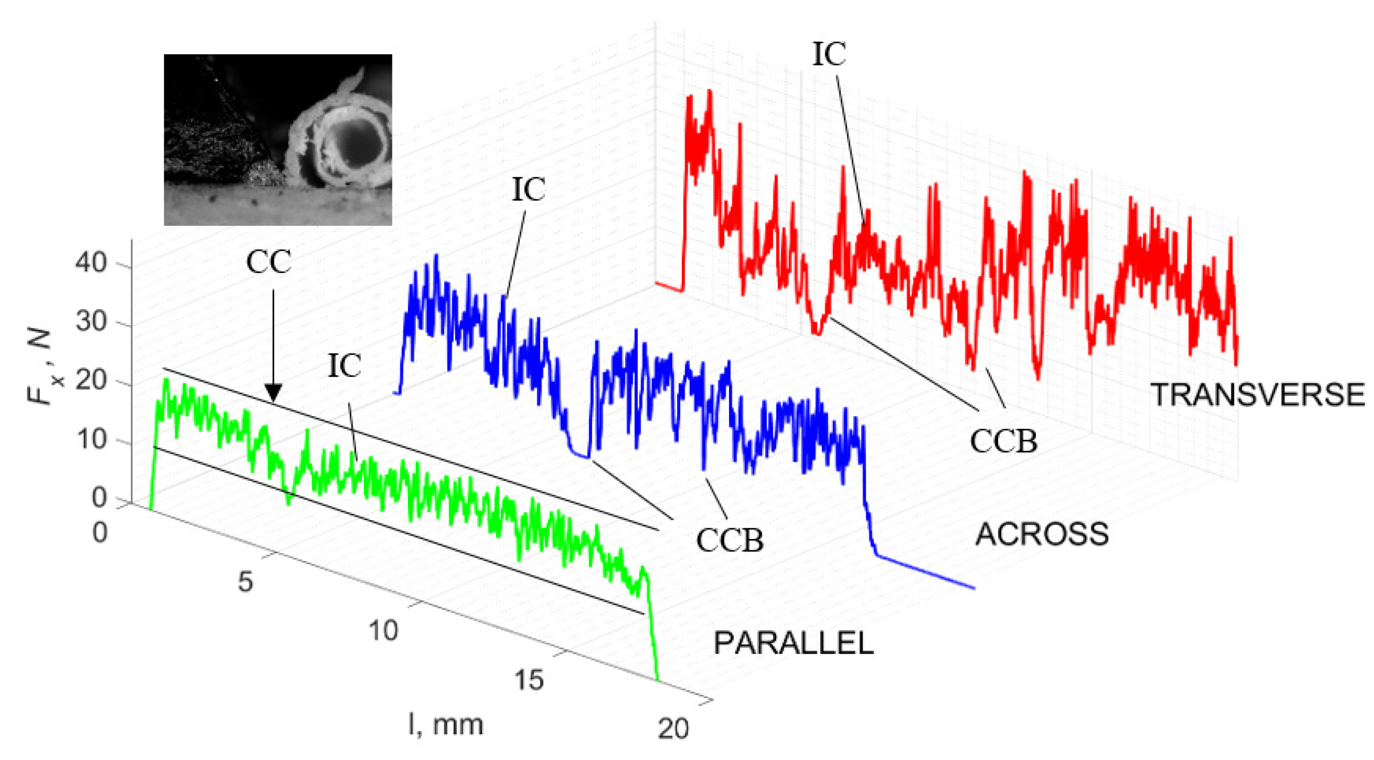 Jfb 13 00154 g011 550