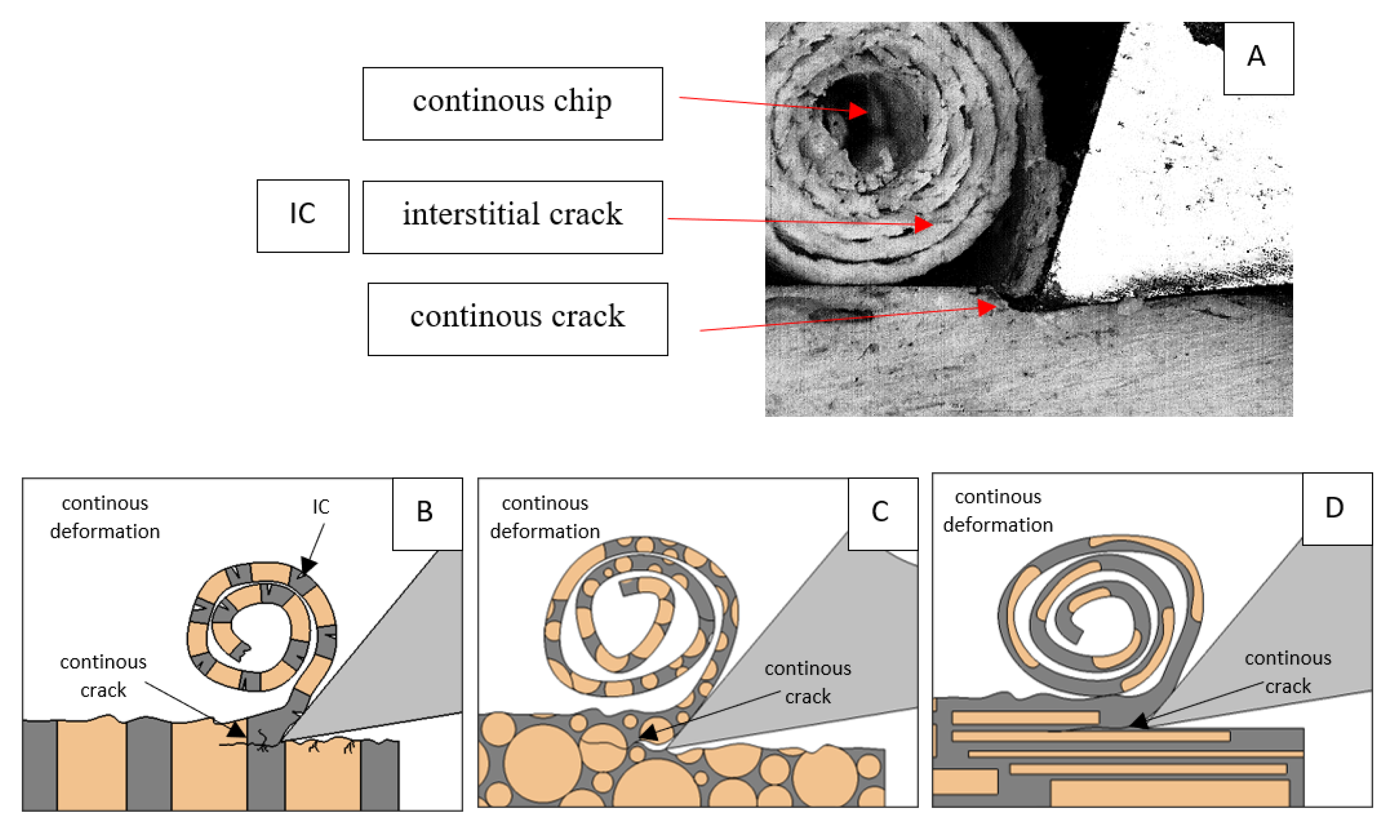 Jfb 13 00154 g012 550