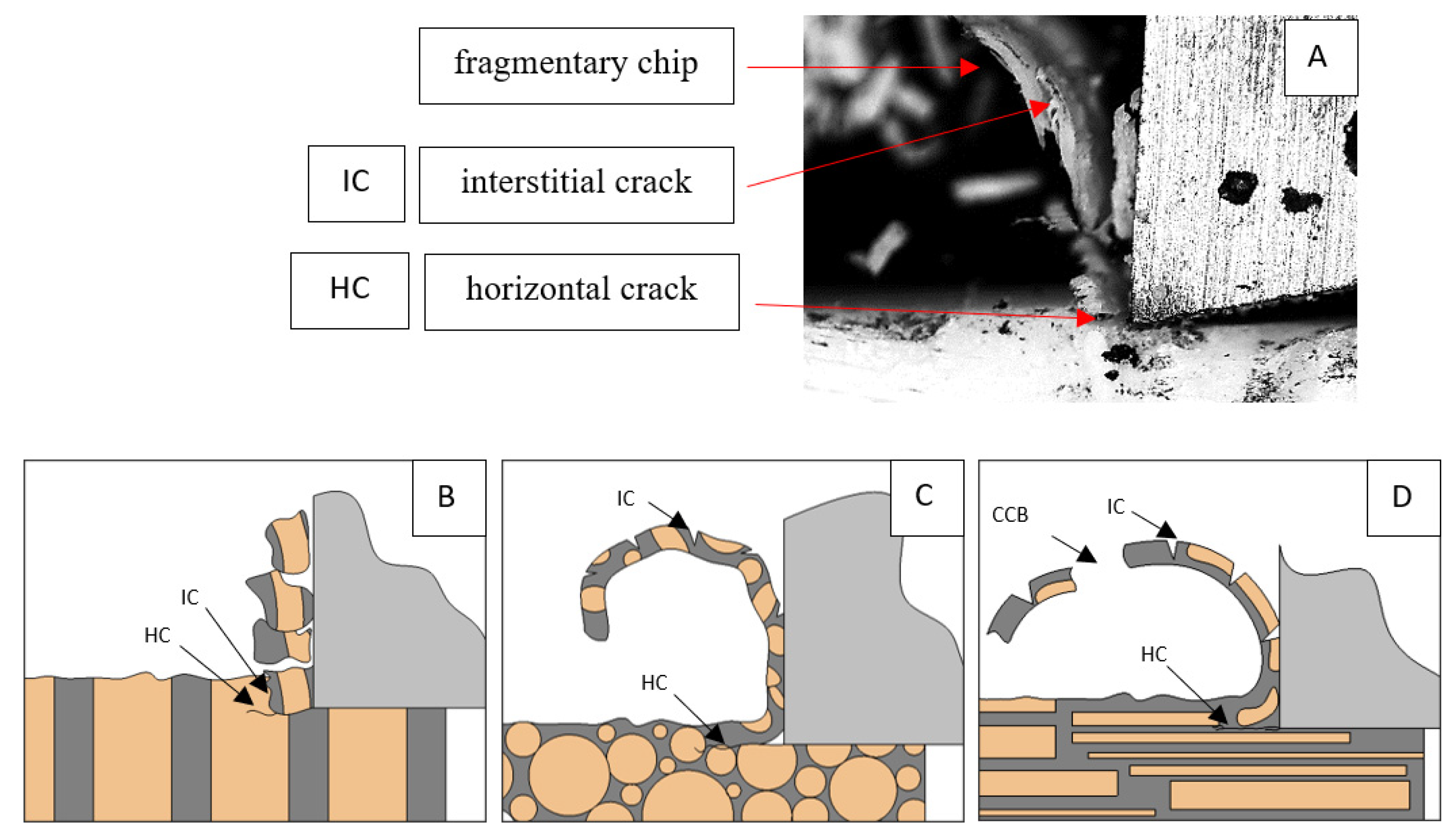 Jfb 13 00154 g014 550