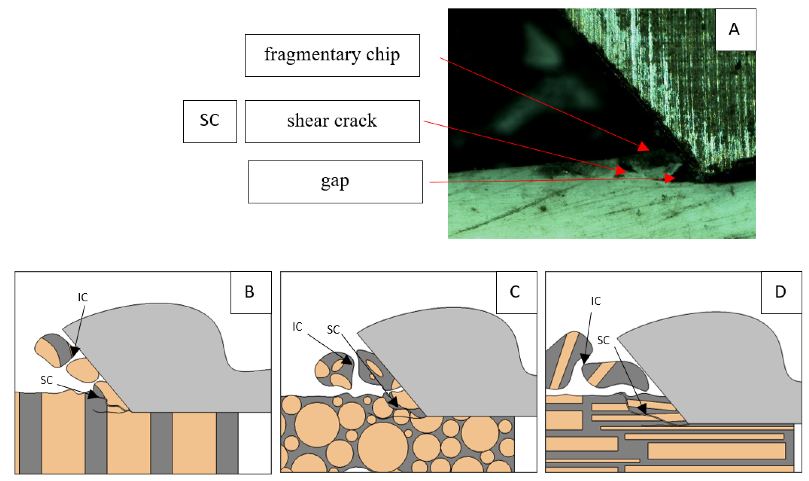 Jfb 13 00154 g016 550