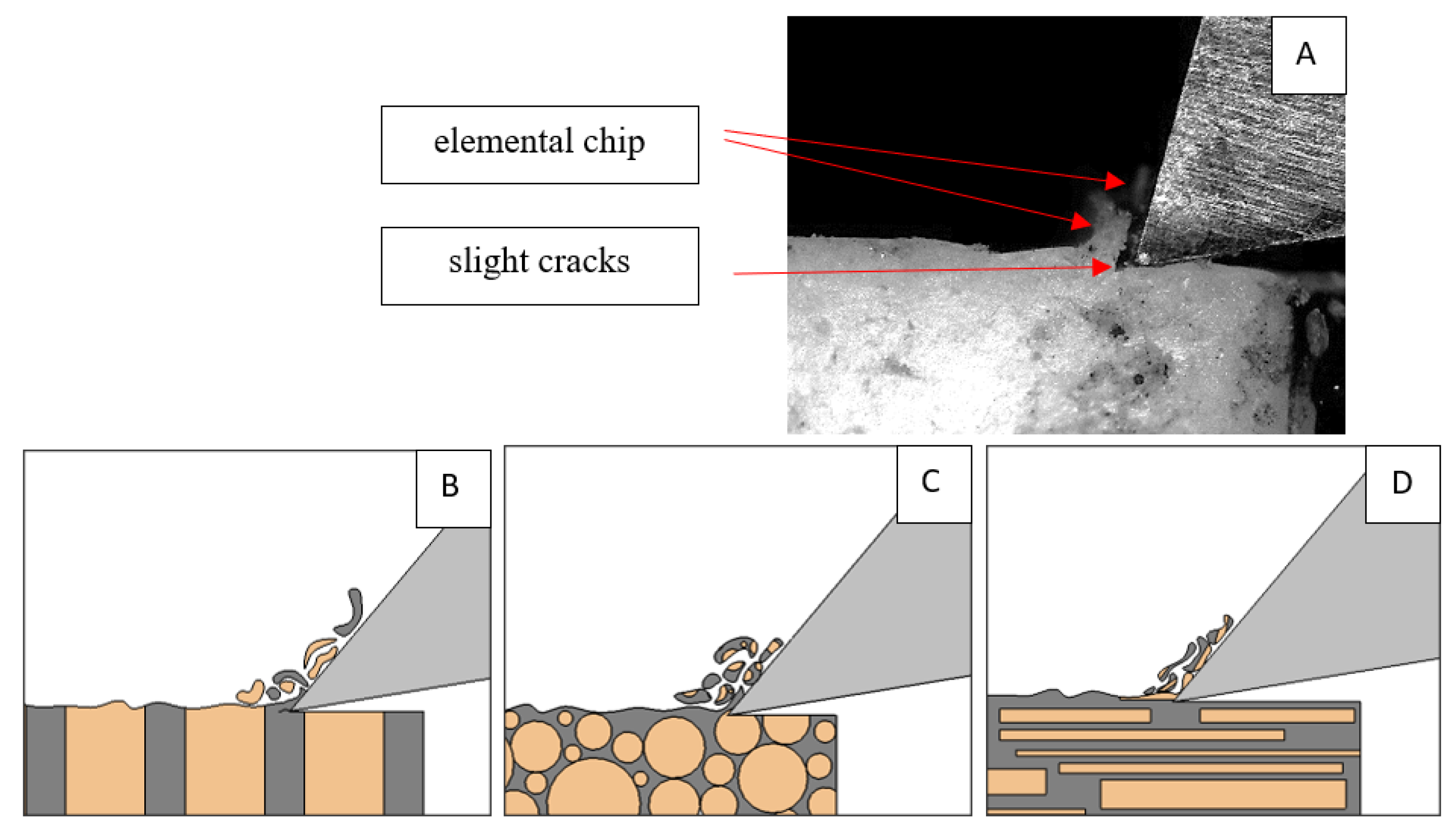 Jfb 13 00154 g018 550