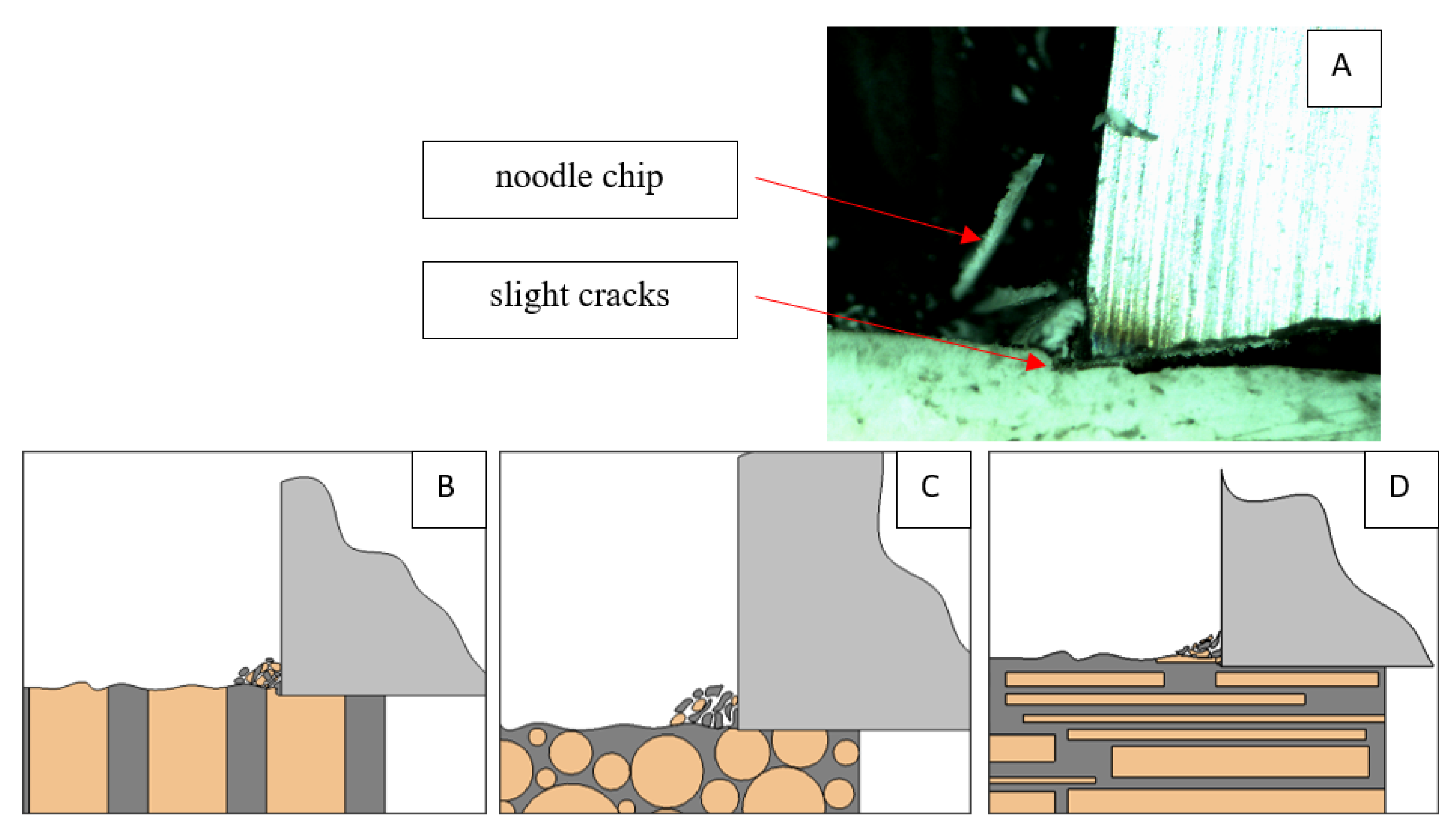 Jfb 13 00154 g020 550