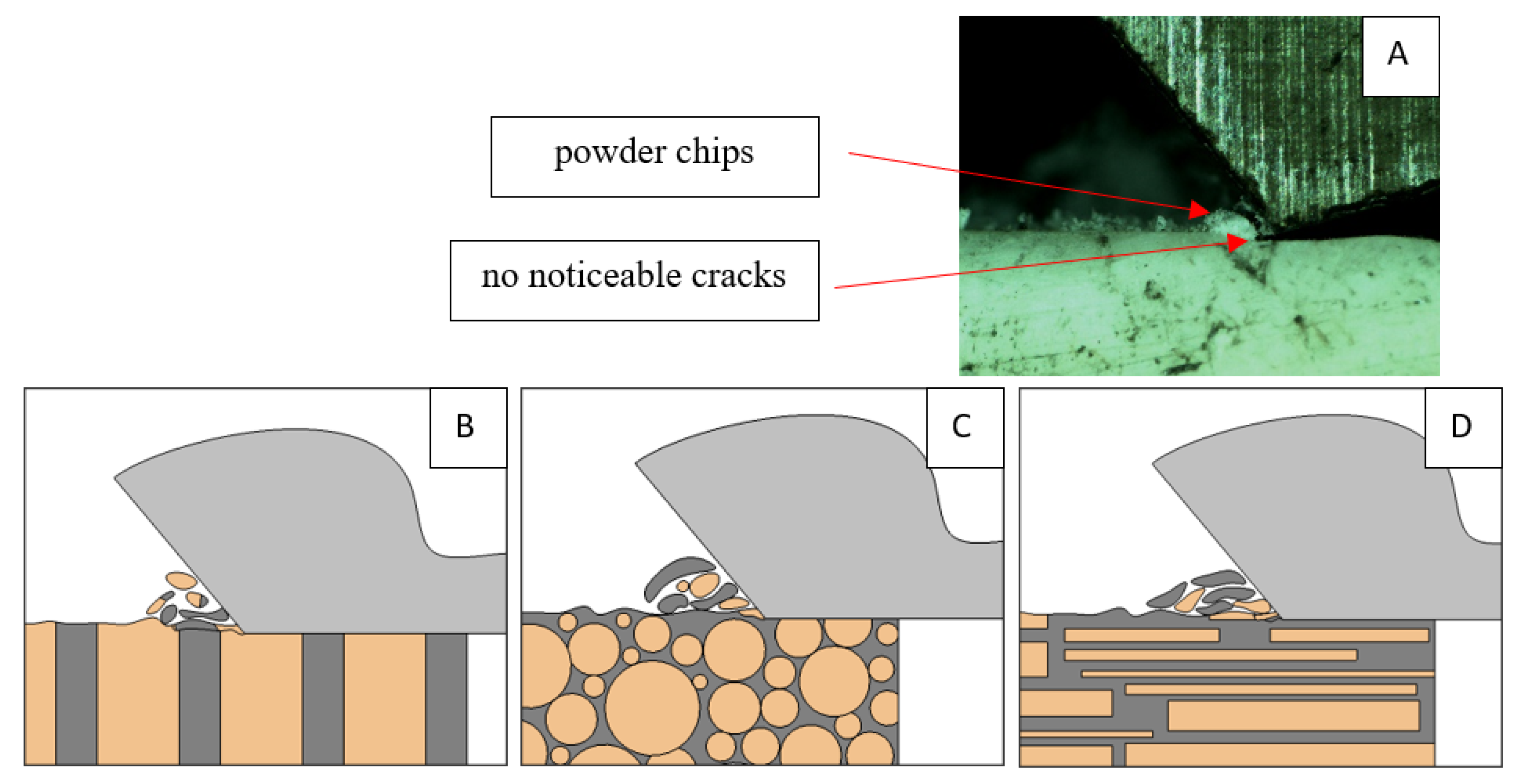 Jfb 13 00154 g022 550