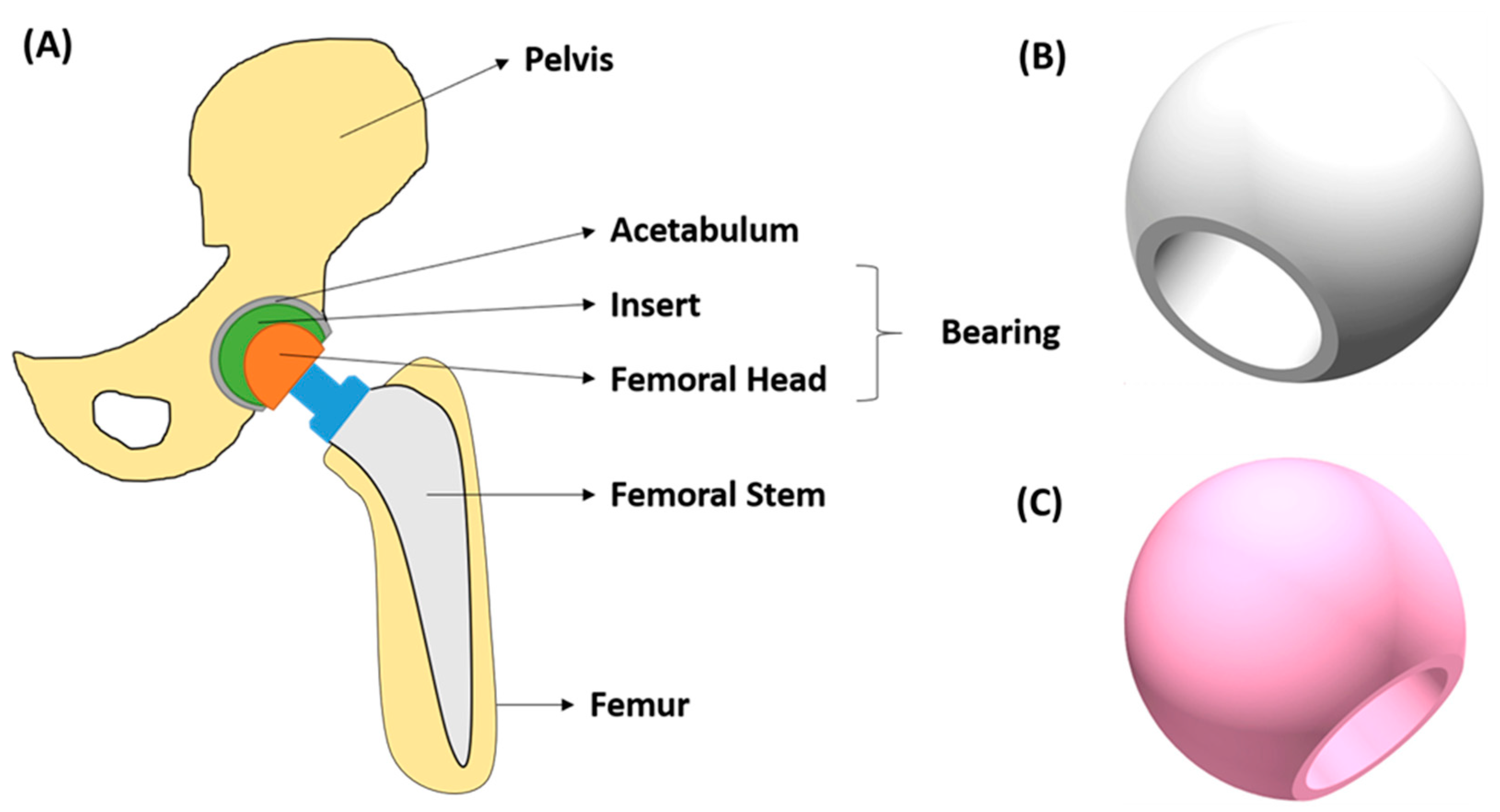 Jfb 13 00155 g004 Jfb 13 00155 g004