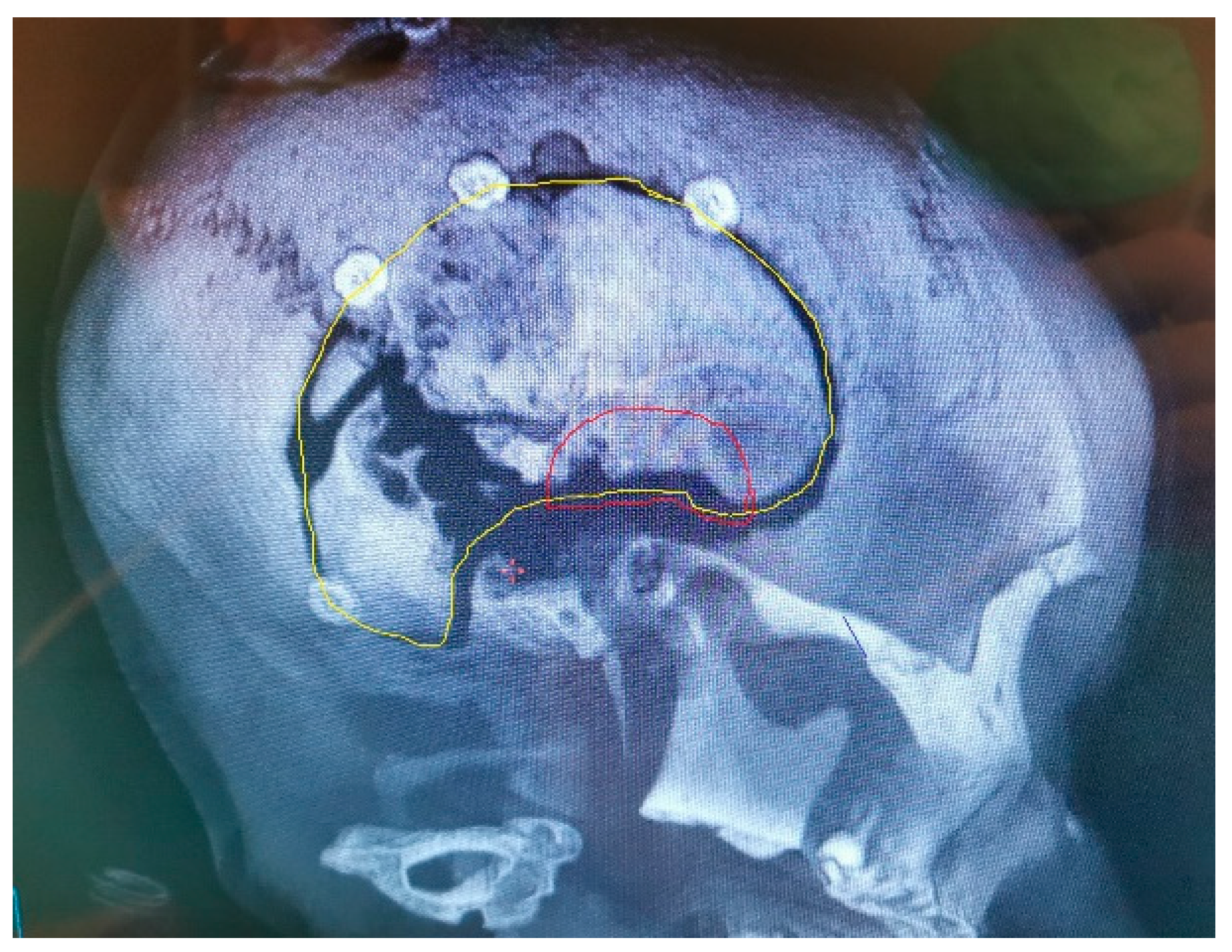 Jfb 13 00156 g007 Jfb 13 00156 g007