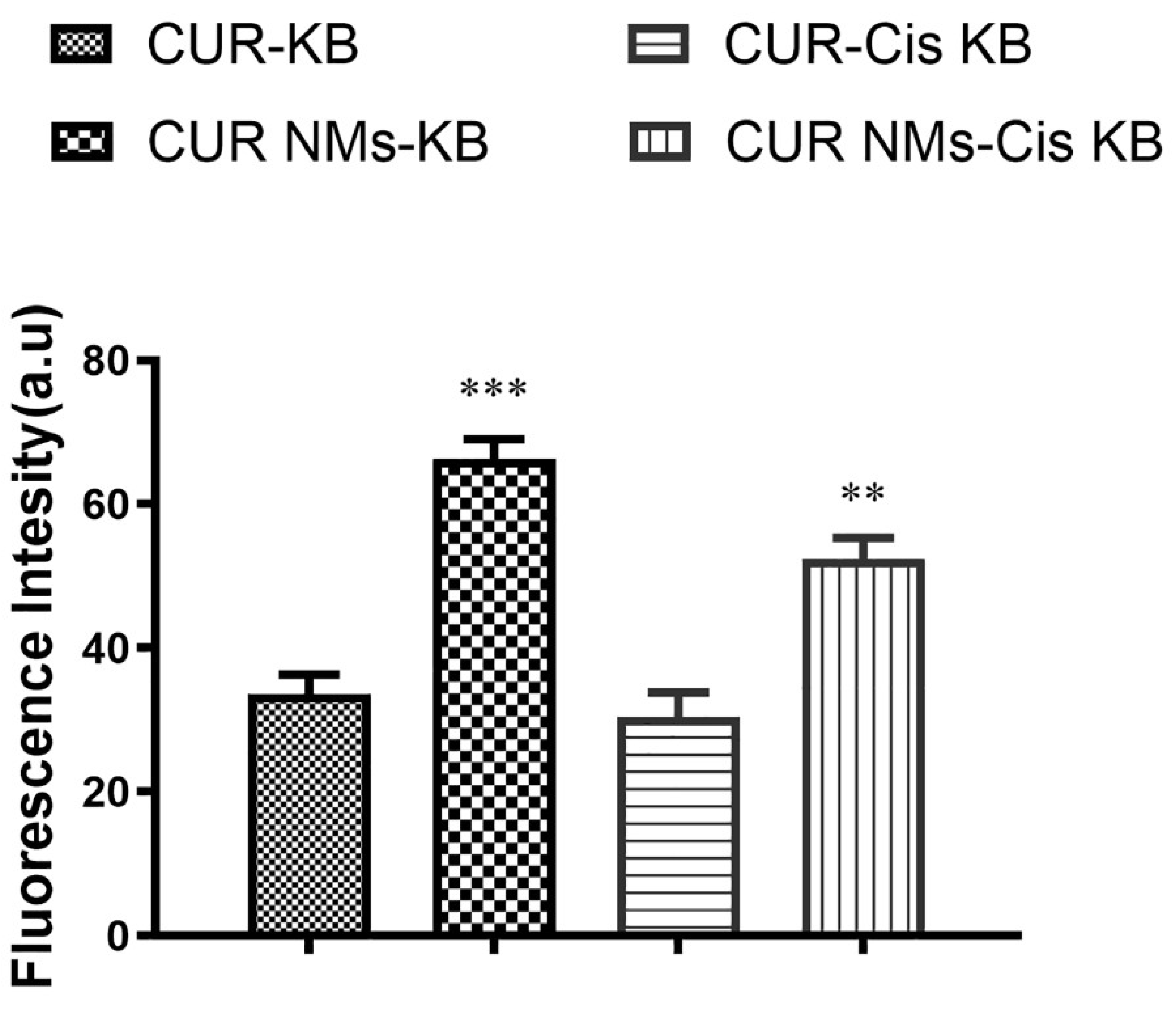 Jfb 13 00158 g006 Jfb 13 00158 g006