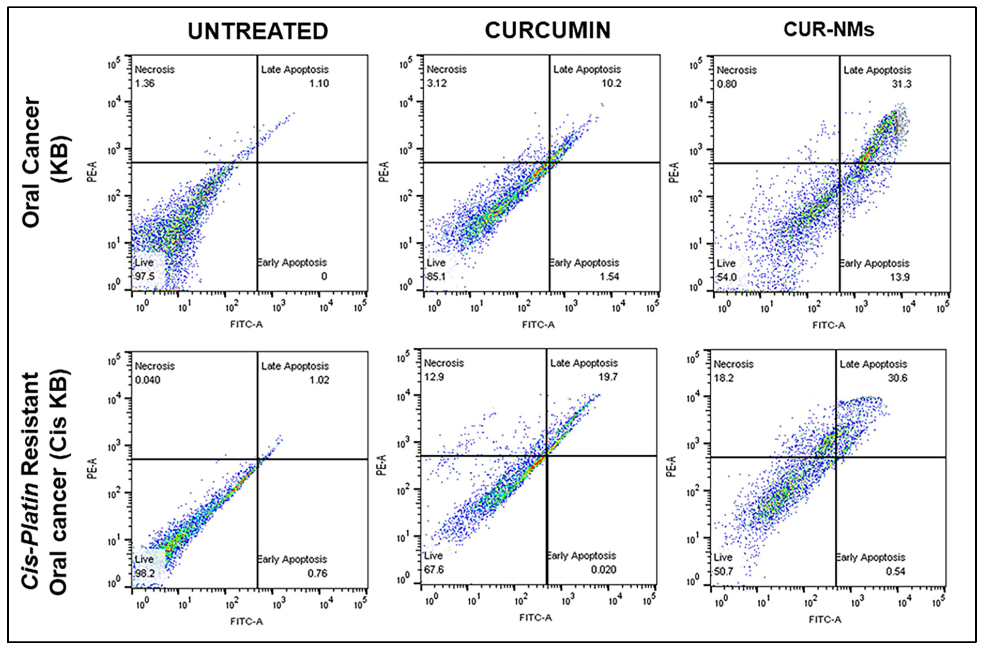 Jfb 13 00158 g012 Jfb 13 00158 g012