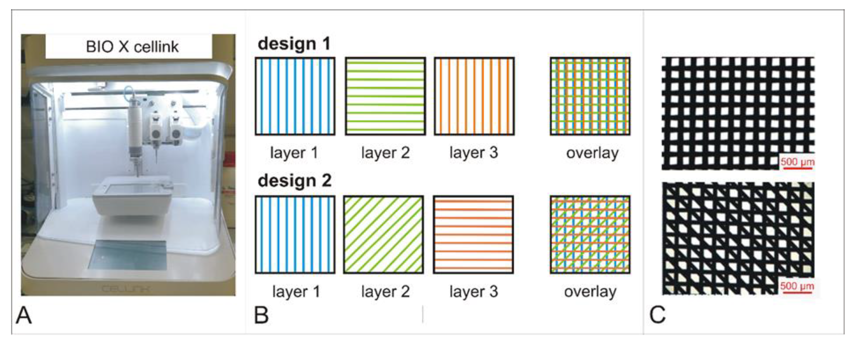 Jfb 13 00160 g001 550