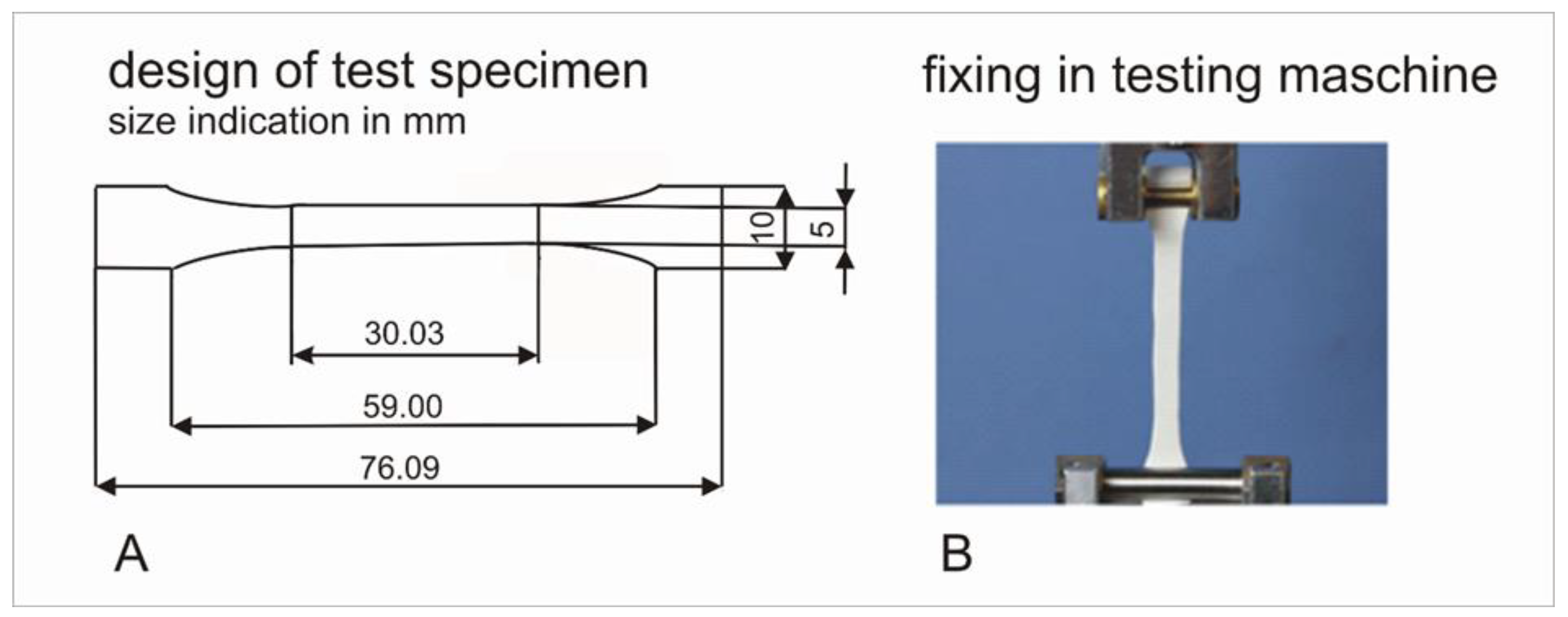 Jfb 13 00160 g002 550