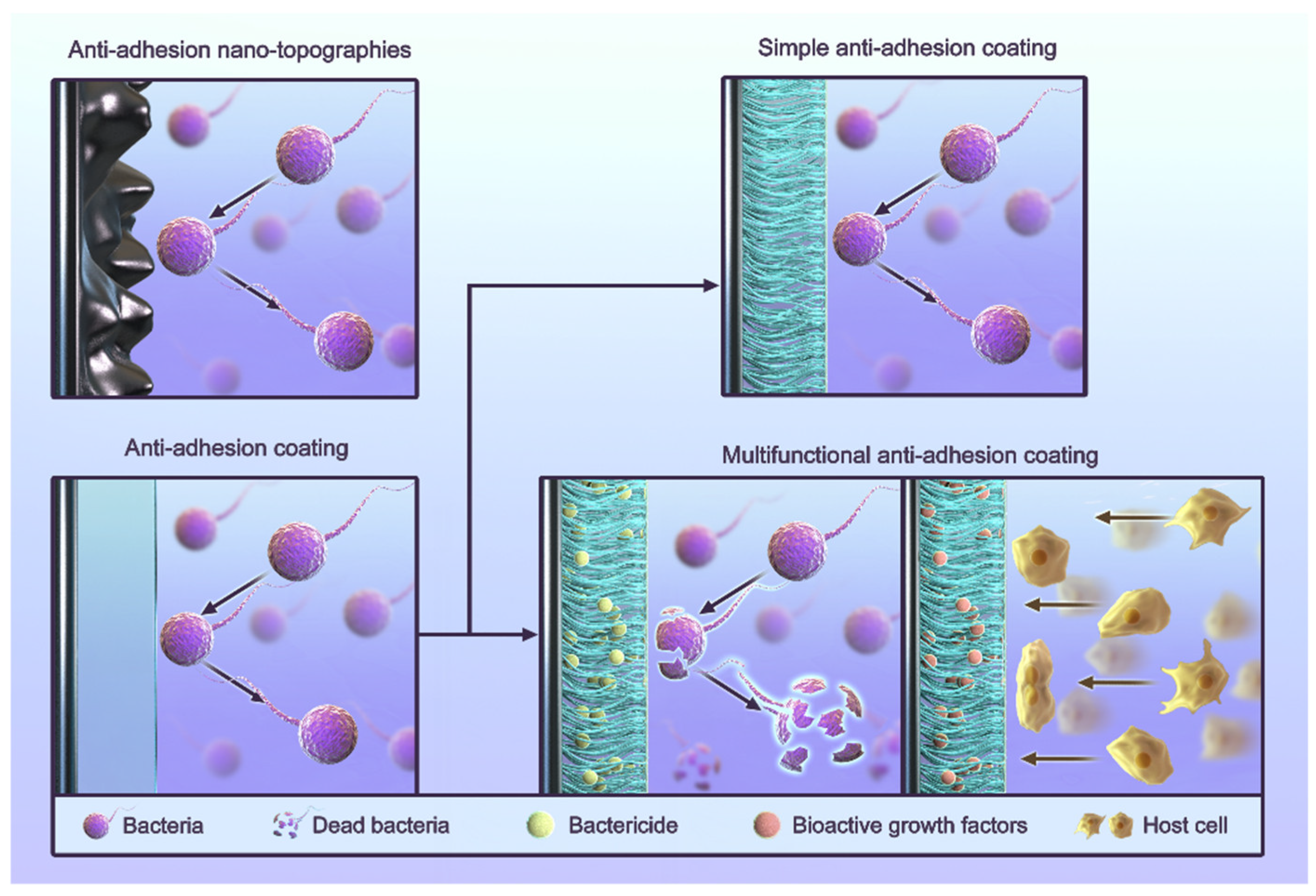 Jfb 13 00169 g002 Jfb 13 00169 g002