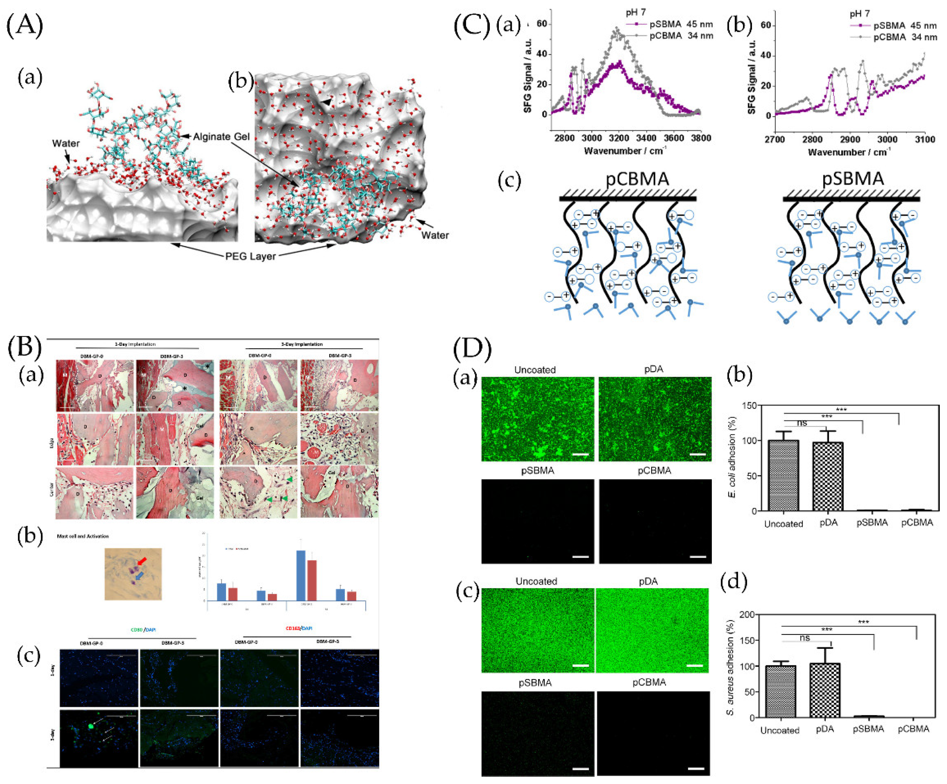 Jfb 13 00169 g003 Jfb 13 00169 g003