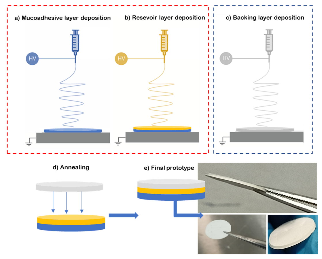 Jfb 13 00170 g001 Jfb 13 00170 g001