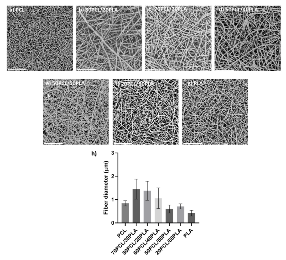 Jfb 13 00170 g002 Jfb 13 00170 g002