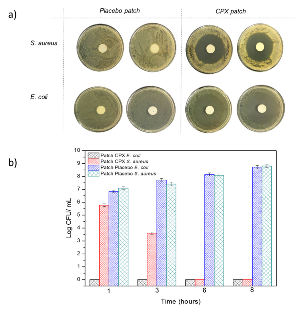 Jfb 13 00170 g008 Jfb 13 00170 g008