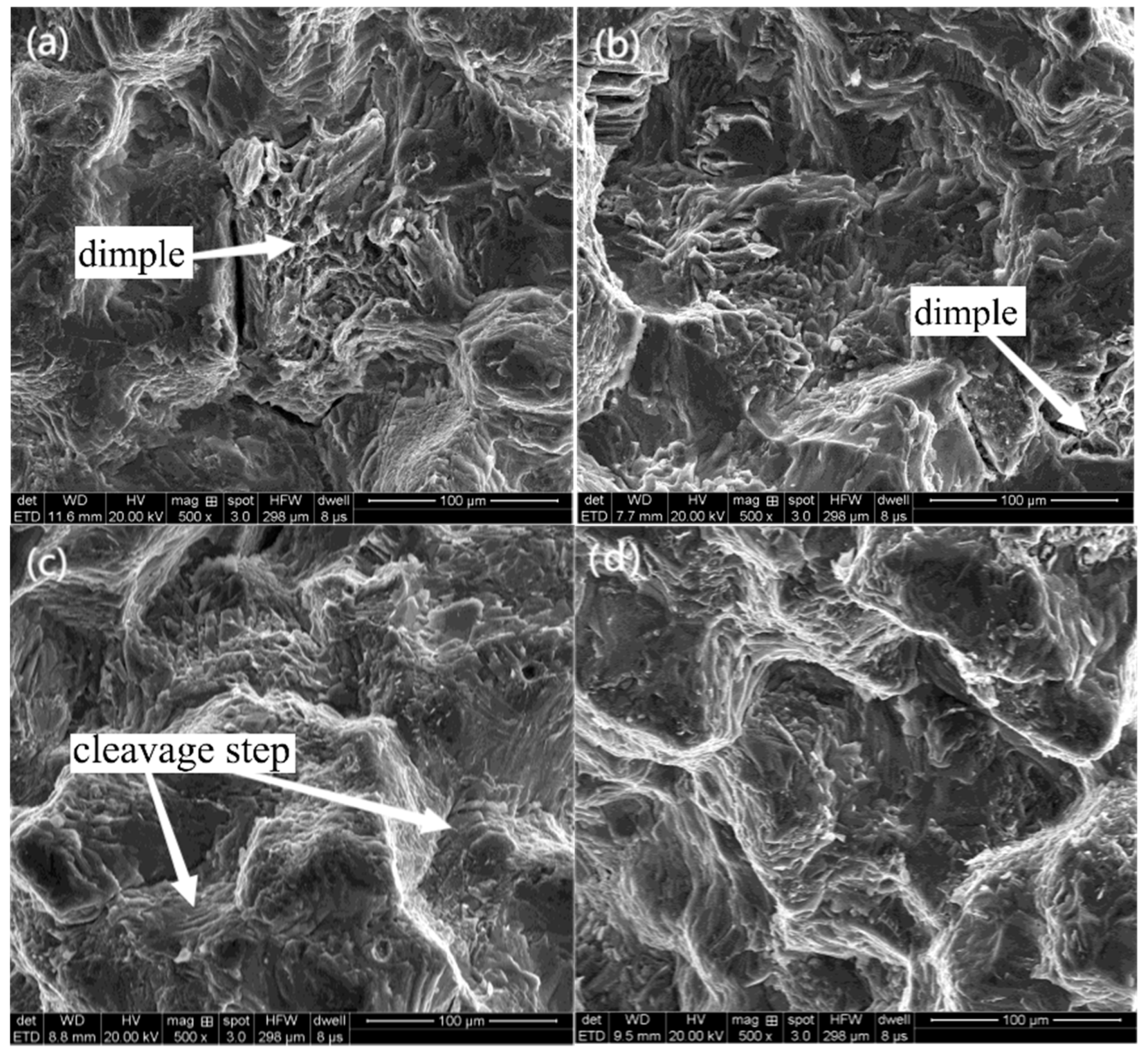 Jfb 13 00179 g008a Jfb 13 00179 g008a