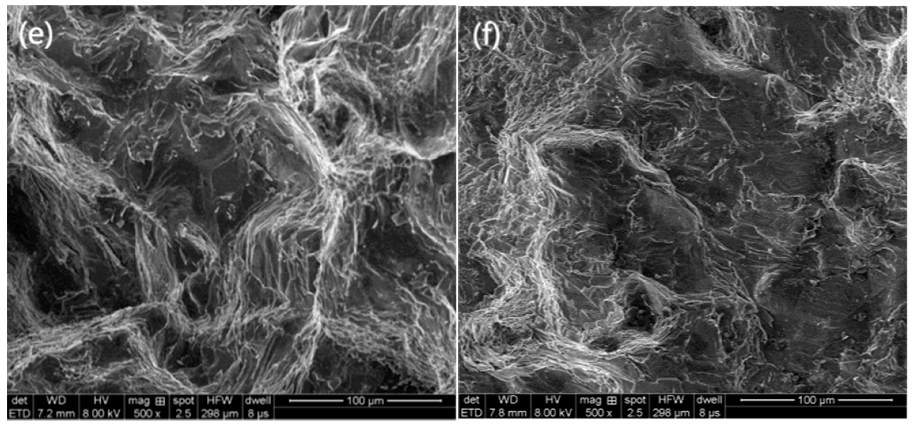 Jfb 13 00179 g008b Jfb 13 00179 g008b