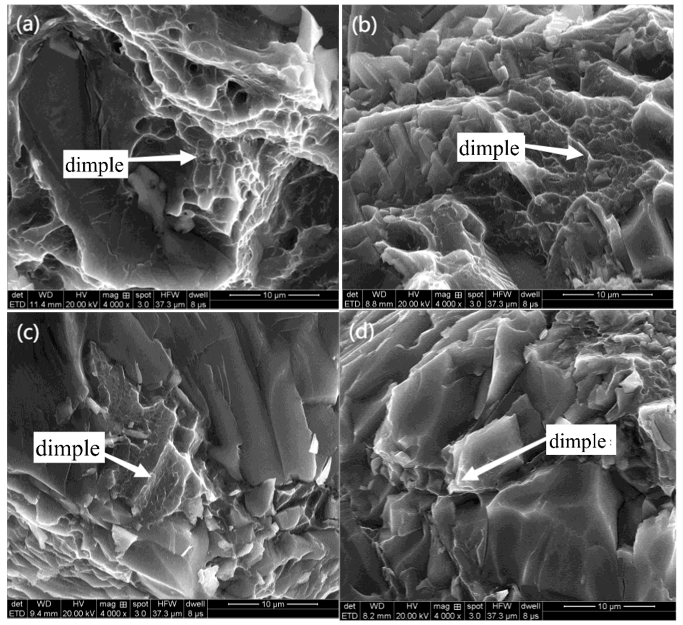 Jfb 13 00179 g009a Jfb 13 00179 g009a