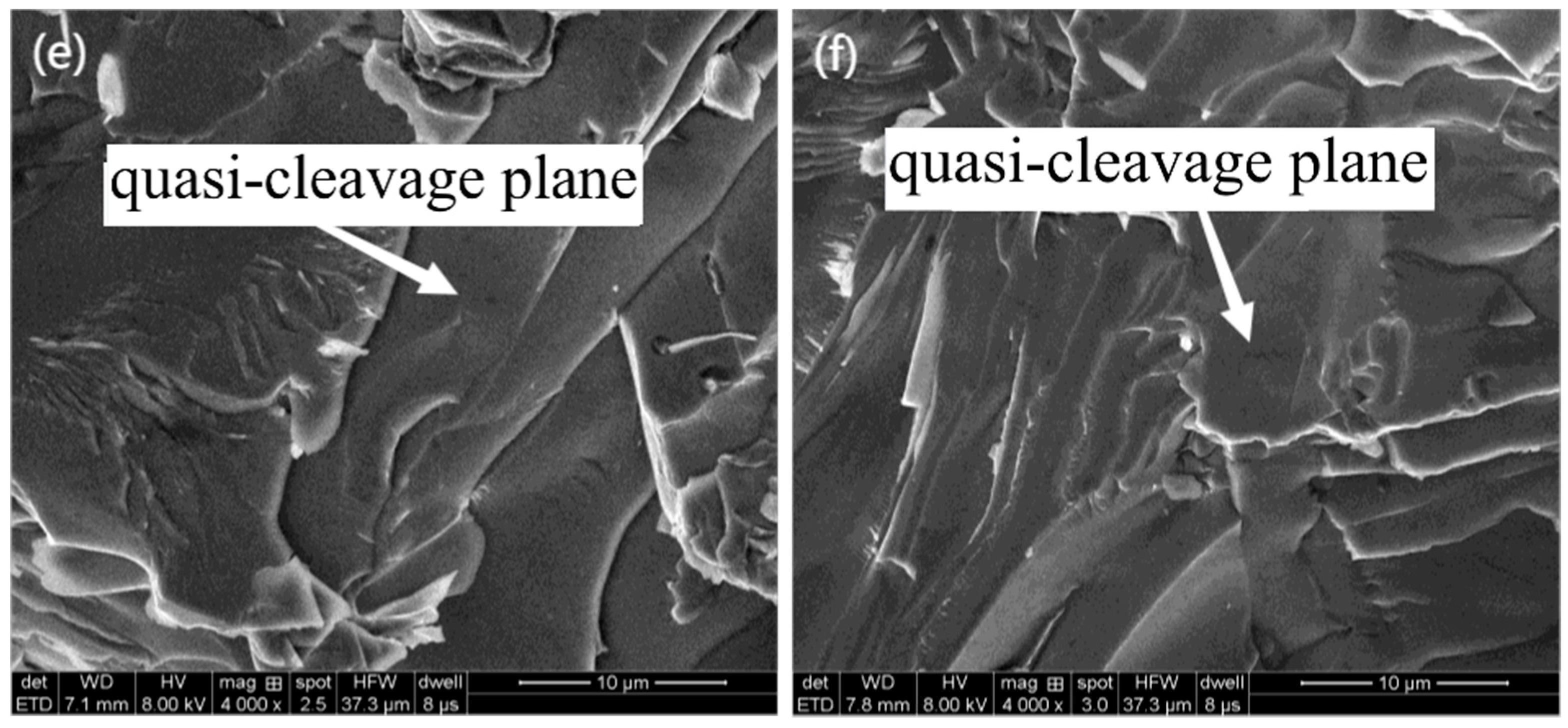 Jfb 13 00179 g009b Jfb 13 00179 g009b