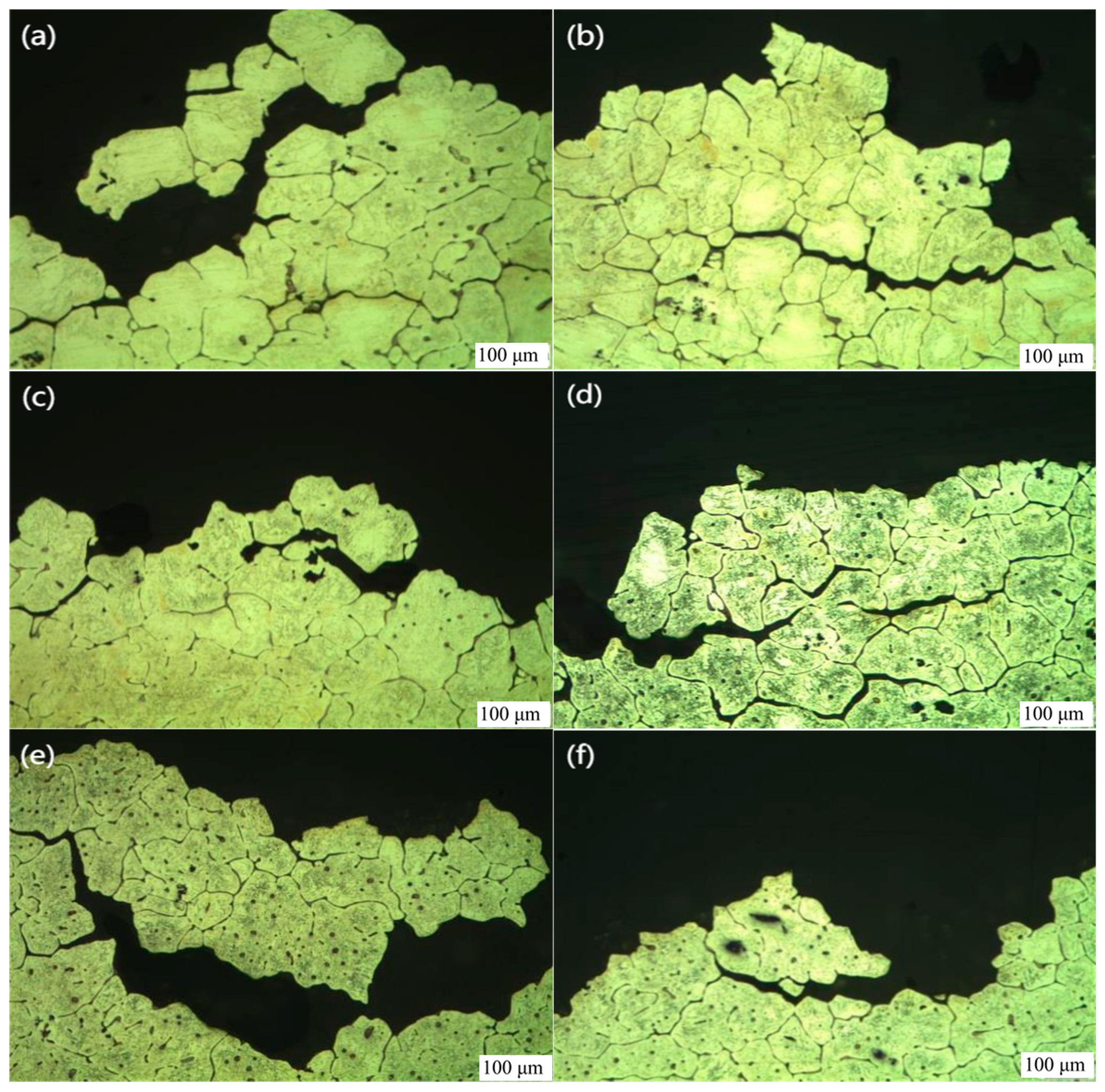 Jfb 13 00179 g010 Jfb 13 00179 g010