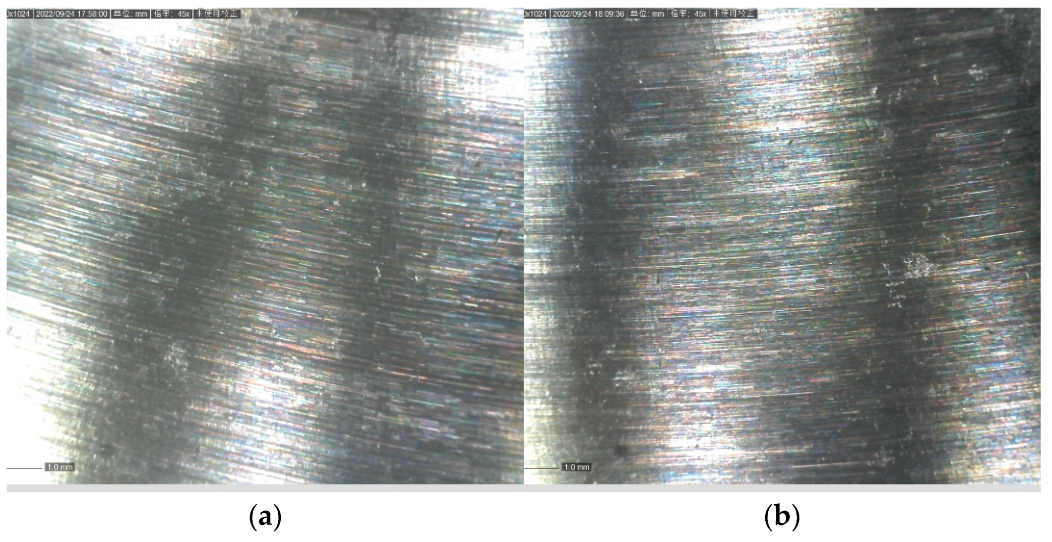 Jfb 13 00179 g013 Jfb 13 00179 g013