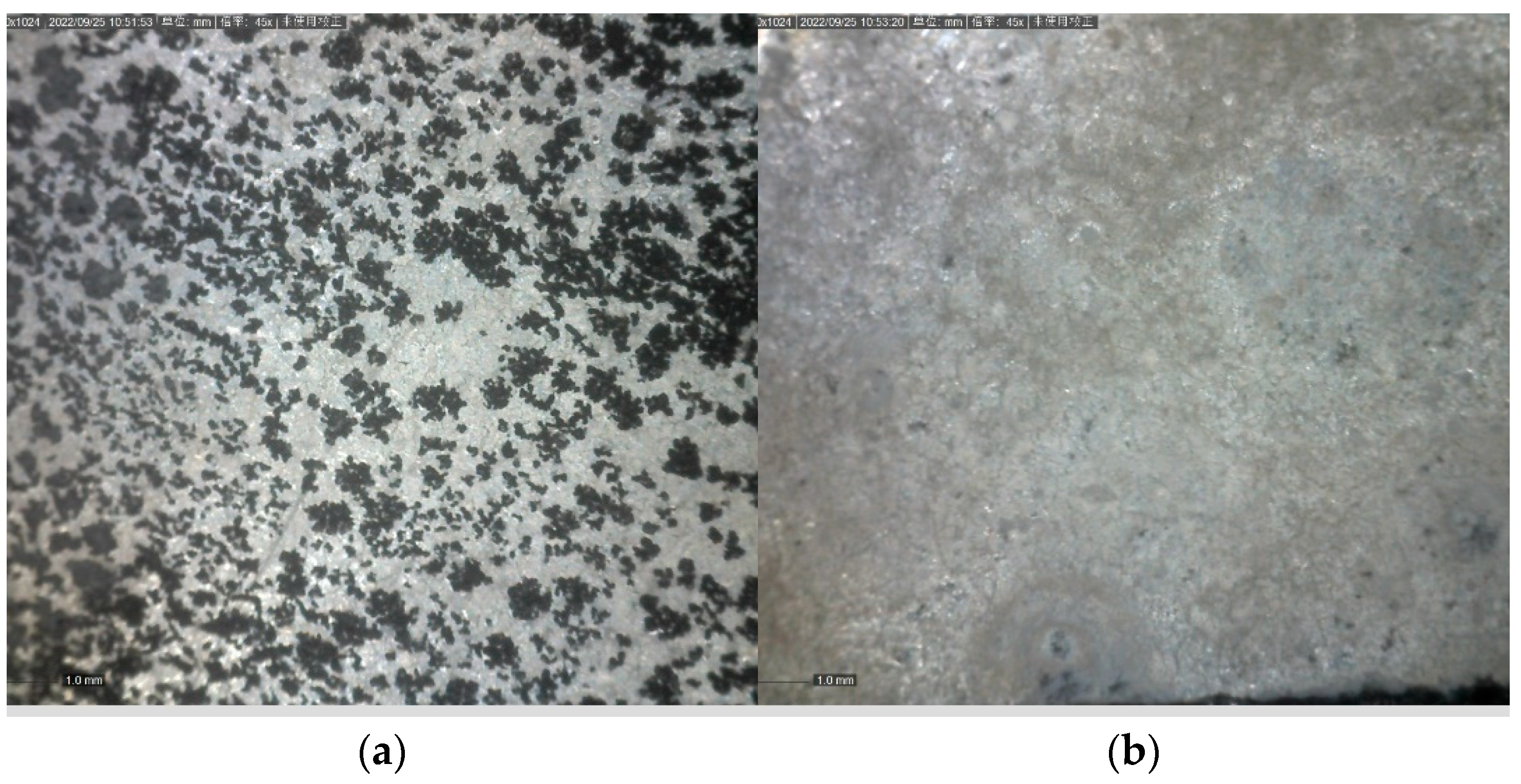 Jfb 13 00179 g014 Jfb 13 00179 g014