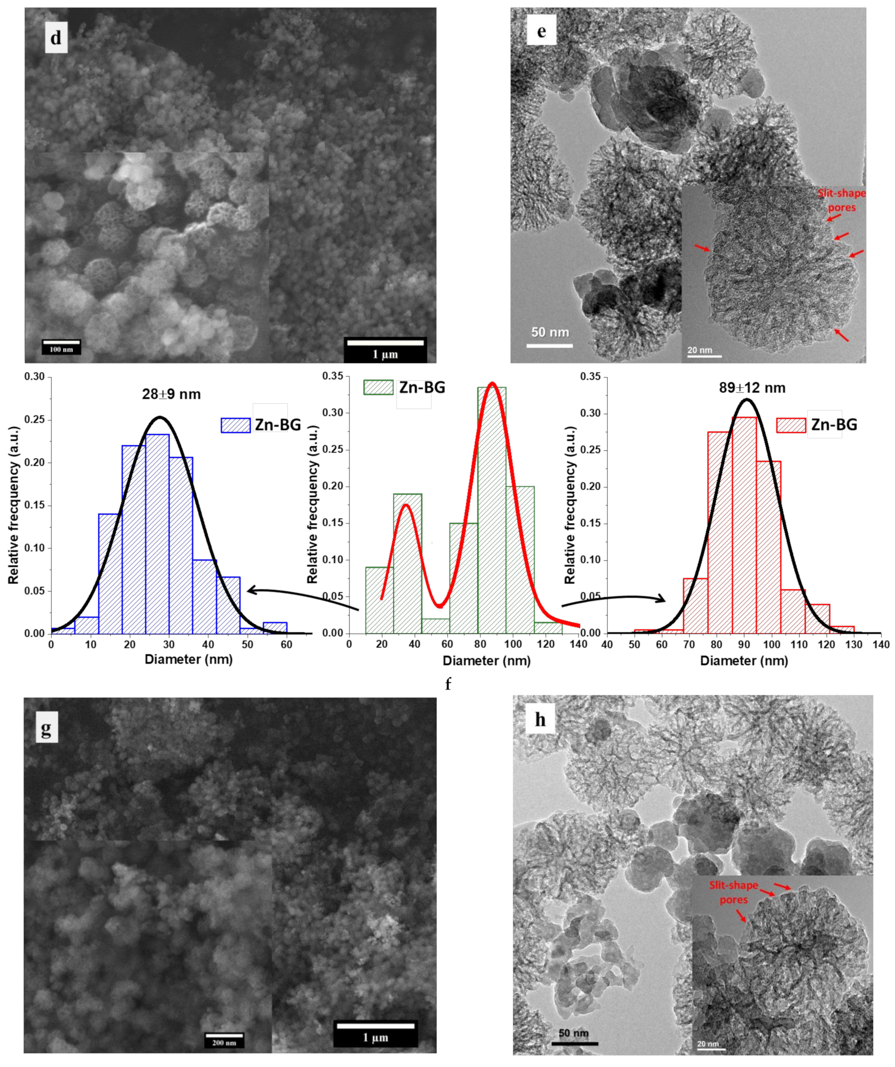 Jfb 13 00180 g002b Jfb 13 00180 g002b
