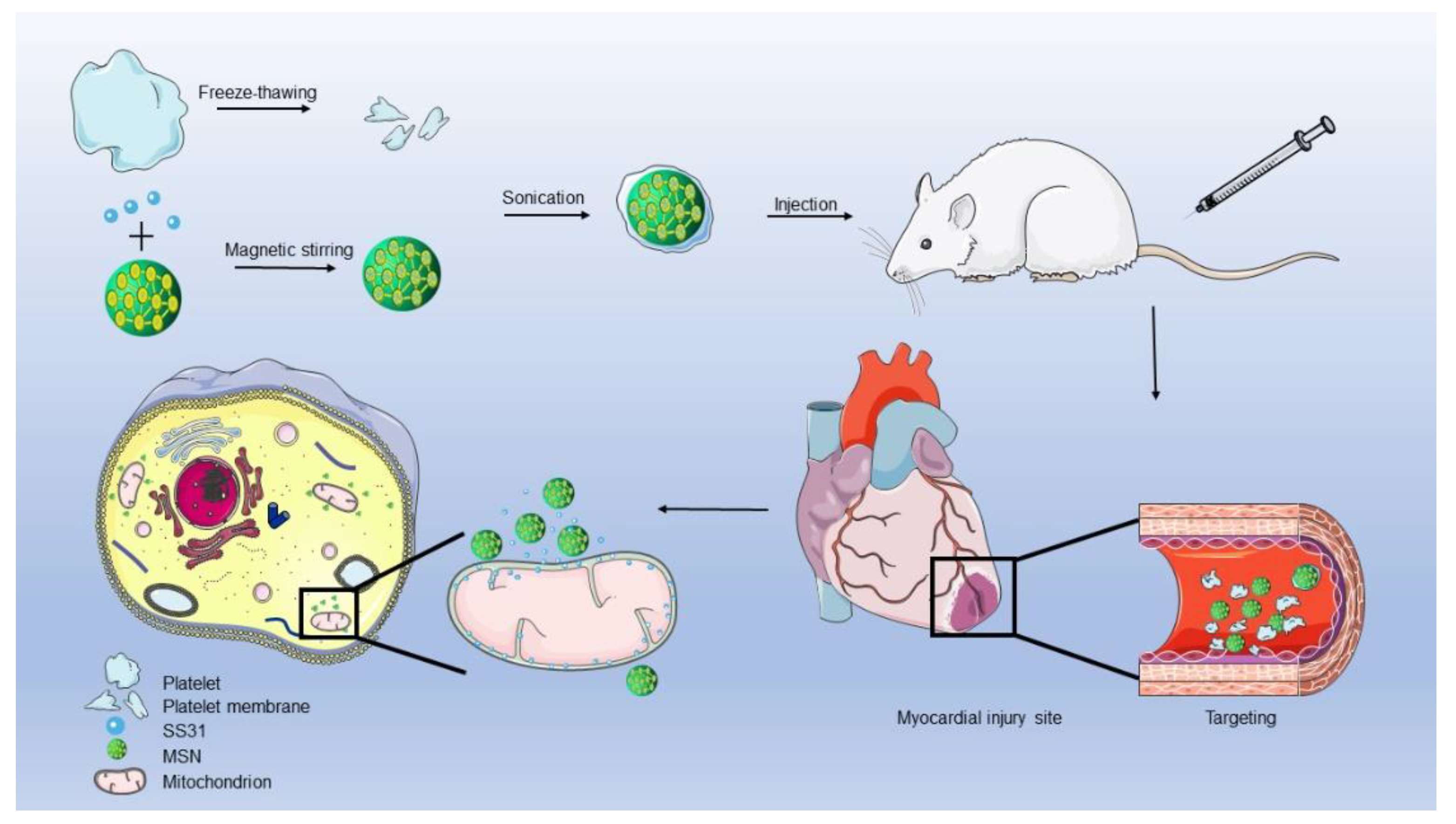 Jfb 13 00181 g001 Jfb 13 00181 g001